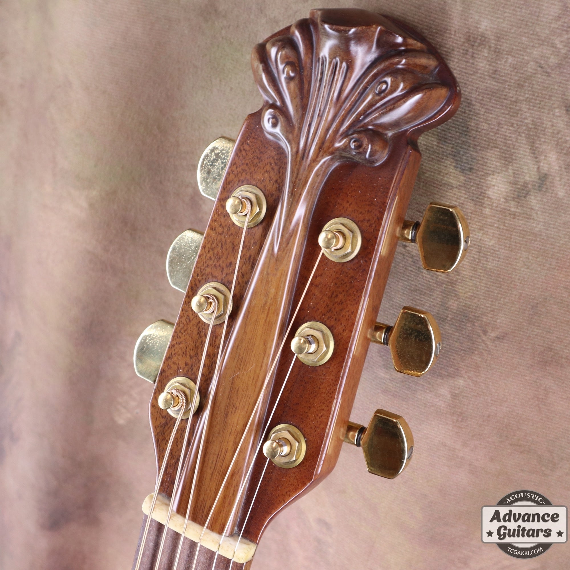 Ovation 1978年製 Super Adams 1687-8