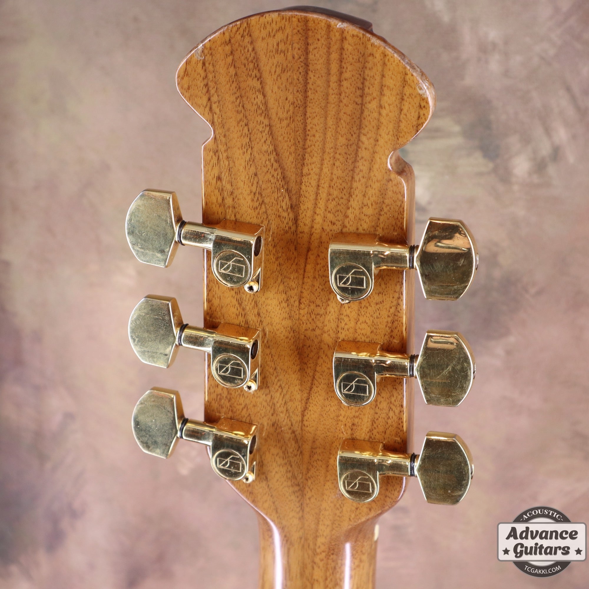Ovation 1979年製 Super Adams 1687-2  - TC楽器 - TCGAKKI