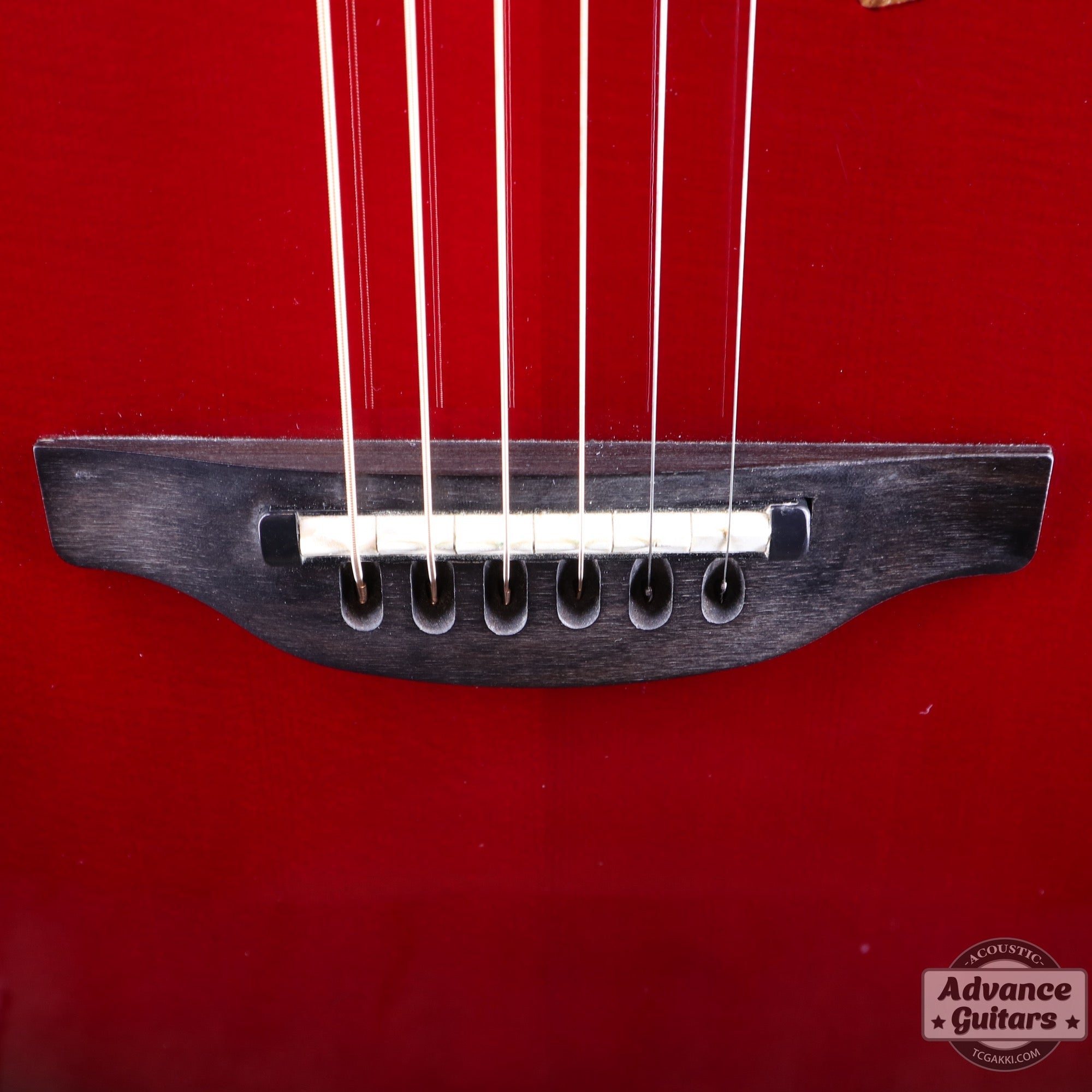 Ovation 2007年製 C868LX Custom Elite LX - TC楽器 - TCGAKKI
