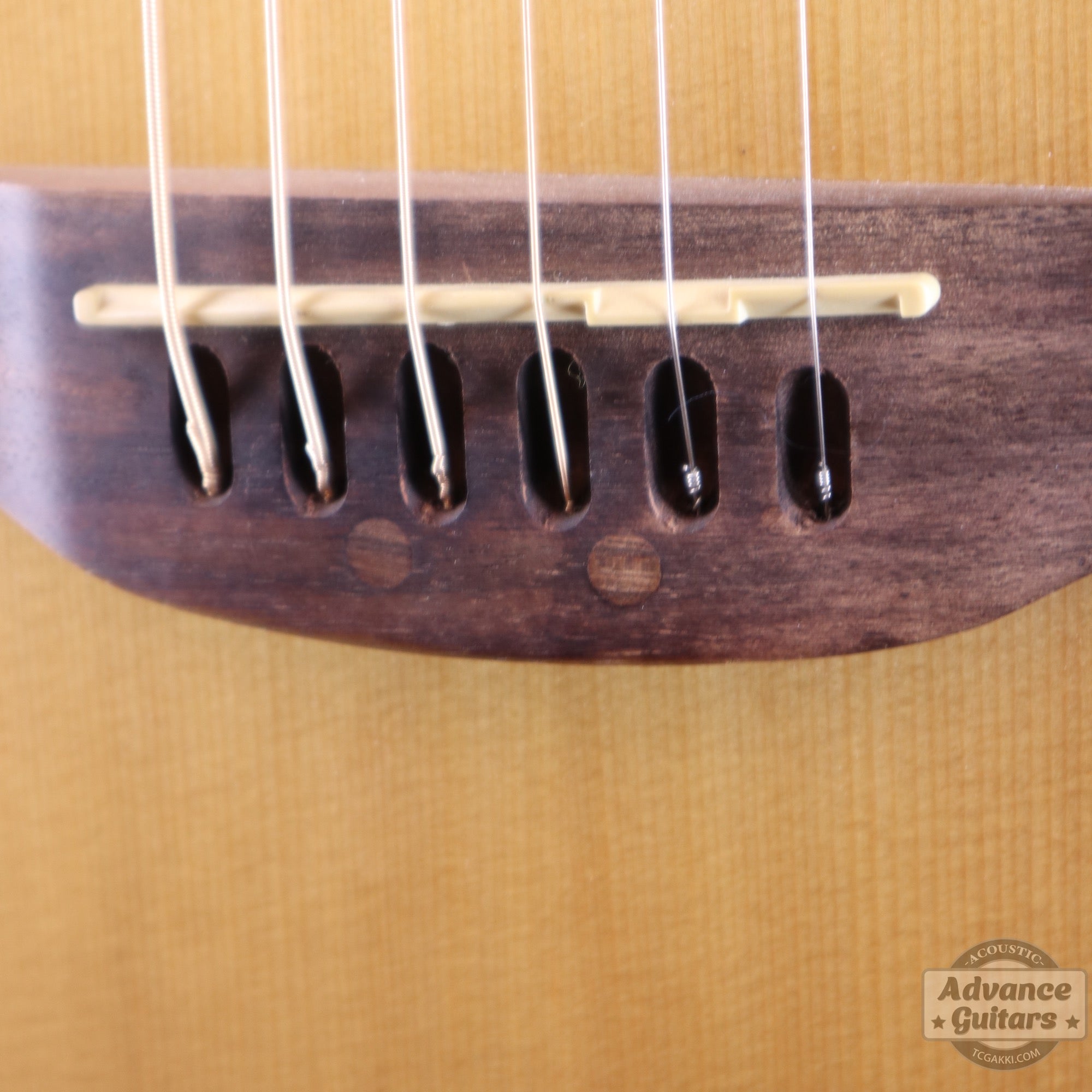 Ovation Celebrity CS24-4 - TC楽器 - TCGAKKI