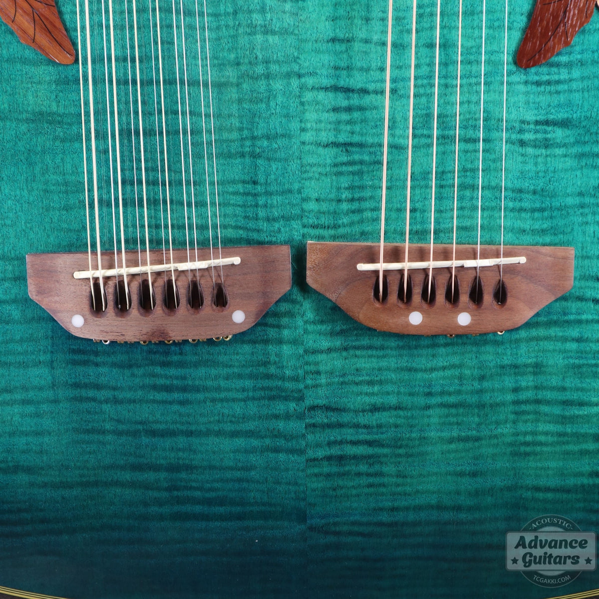 Ovation Celebrity CSD215 Double Neck - TC楽器 - TCGAKKI