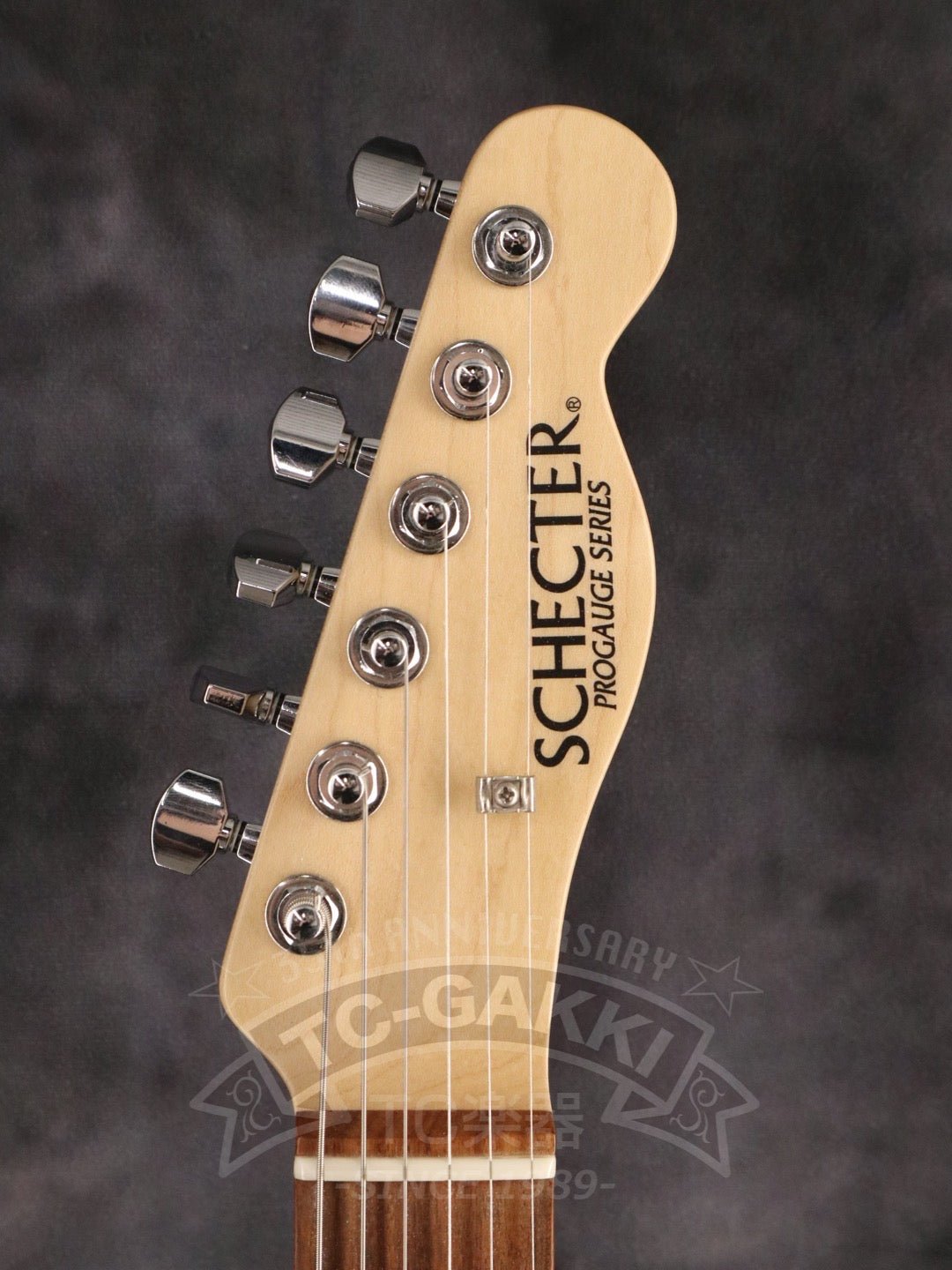 PA - LS/TK - TC楽器 - TCGAKKI