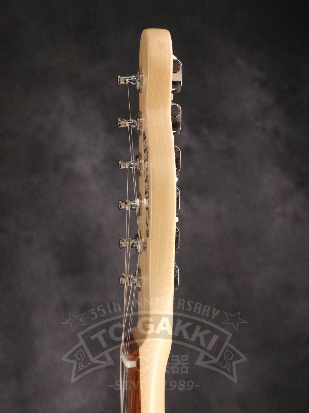 PA - LS/TK - TC楽器 - TCGAKKI