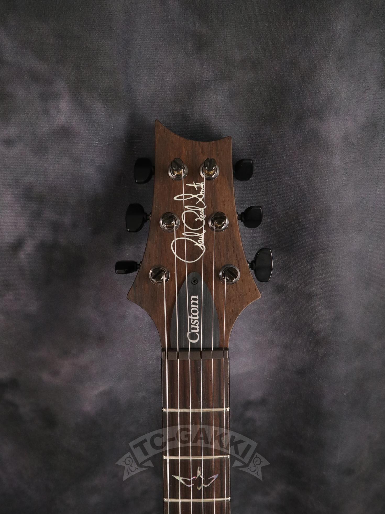 Paul Reed Smith 2025 Wood Library Custom 24-08 10Top - TC楽器 - TCGAKKI