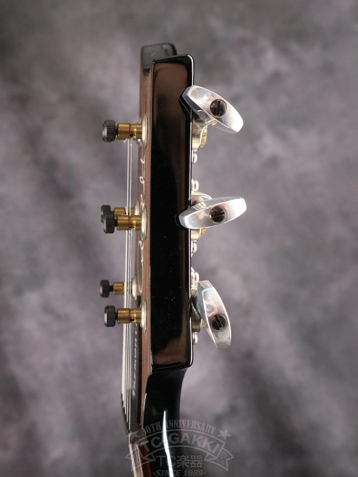 Paul Reed Smith Mark Tremonti Signature - TC楽器 - TCGAKKI