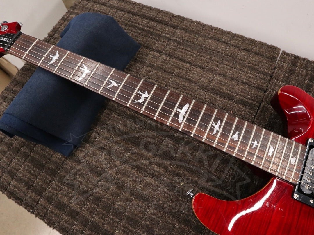 Paul Reed Smith SE Custom 24 - TCGAKKI - TCGAKKI