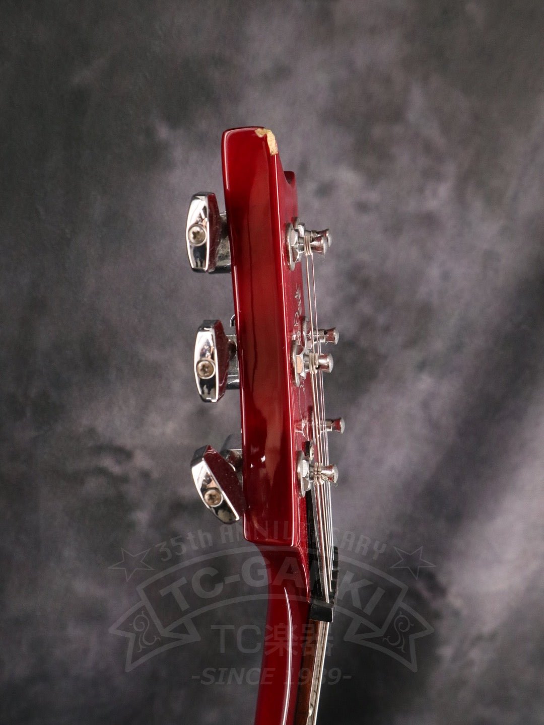 Paul Reed Smith SE Custom 24 - TC楽器 - TCGAKKI