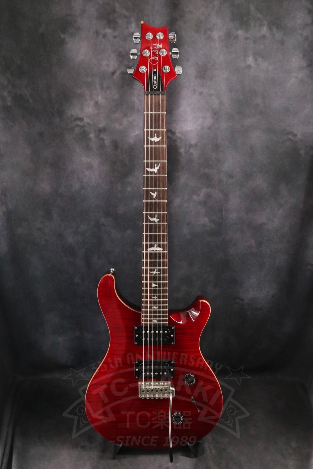 Paul Reed Smith SE Custom 24 - TCGAKKI - TCGAKKI