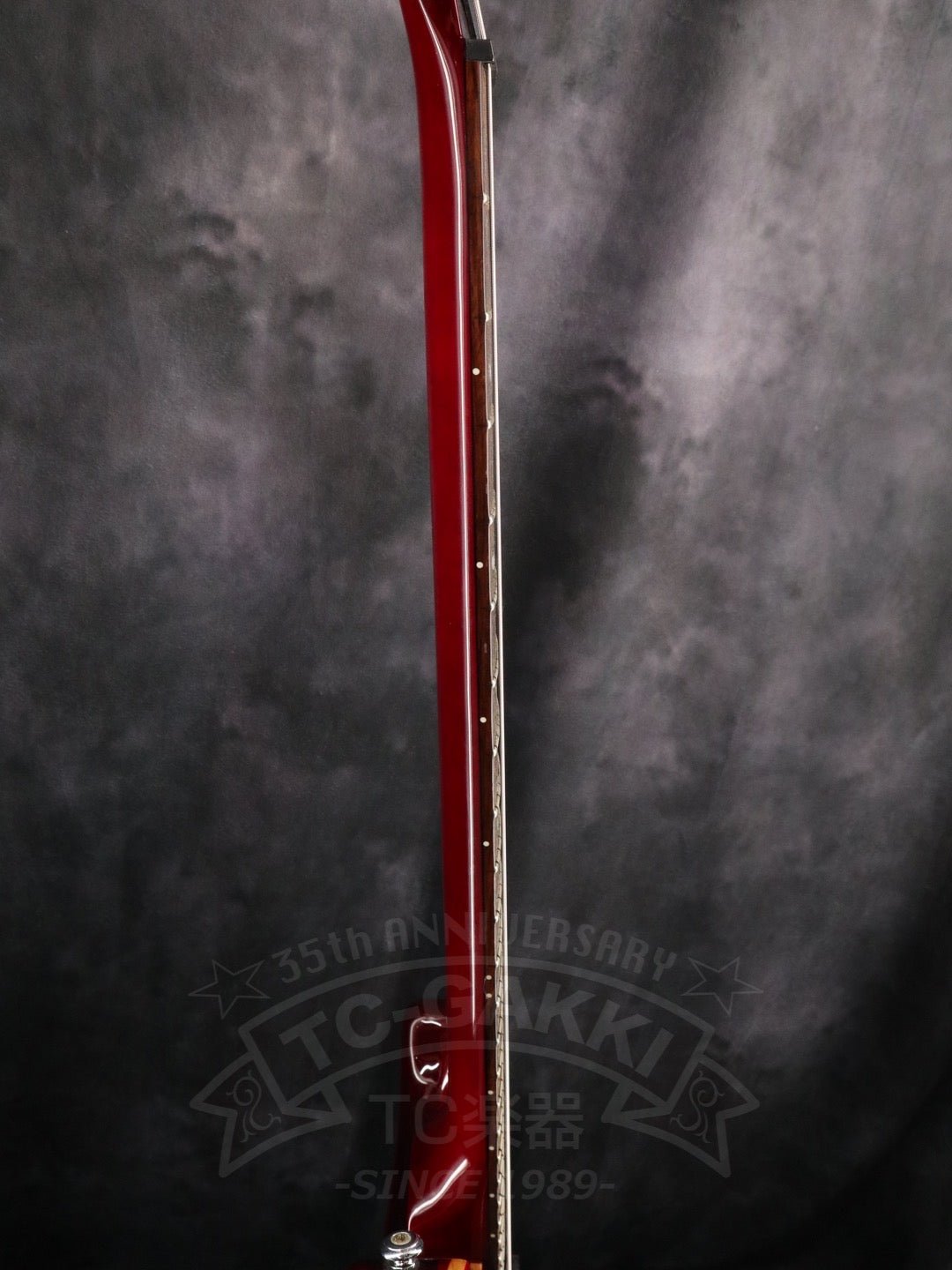 Paul Reed Smith SE Custom 24 - TC楽器 - TCGAKKI