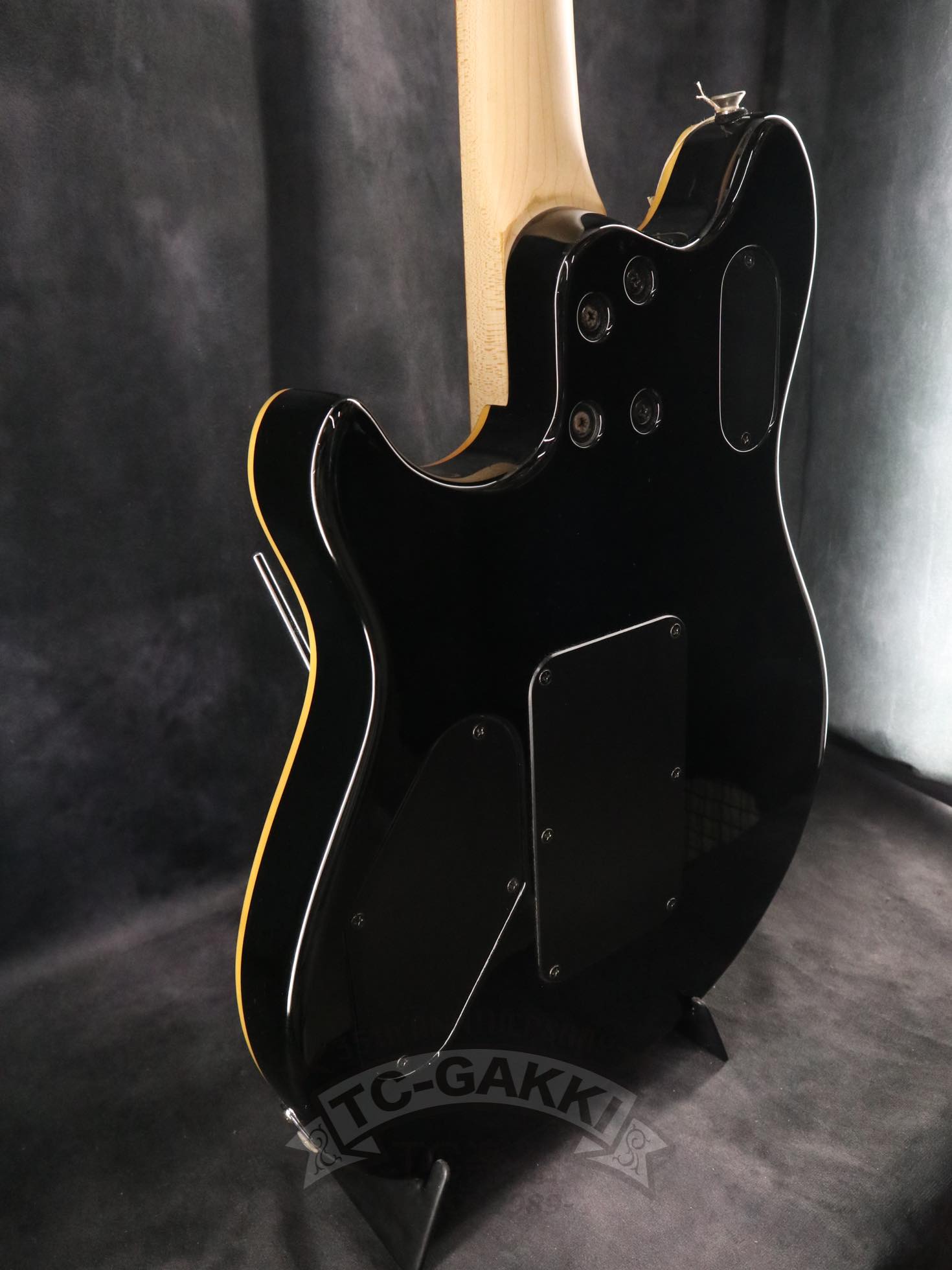 PEAVEY Wolfgang Special