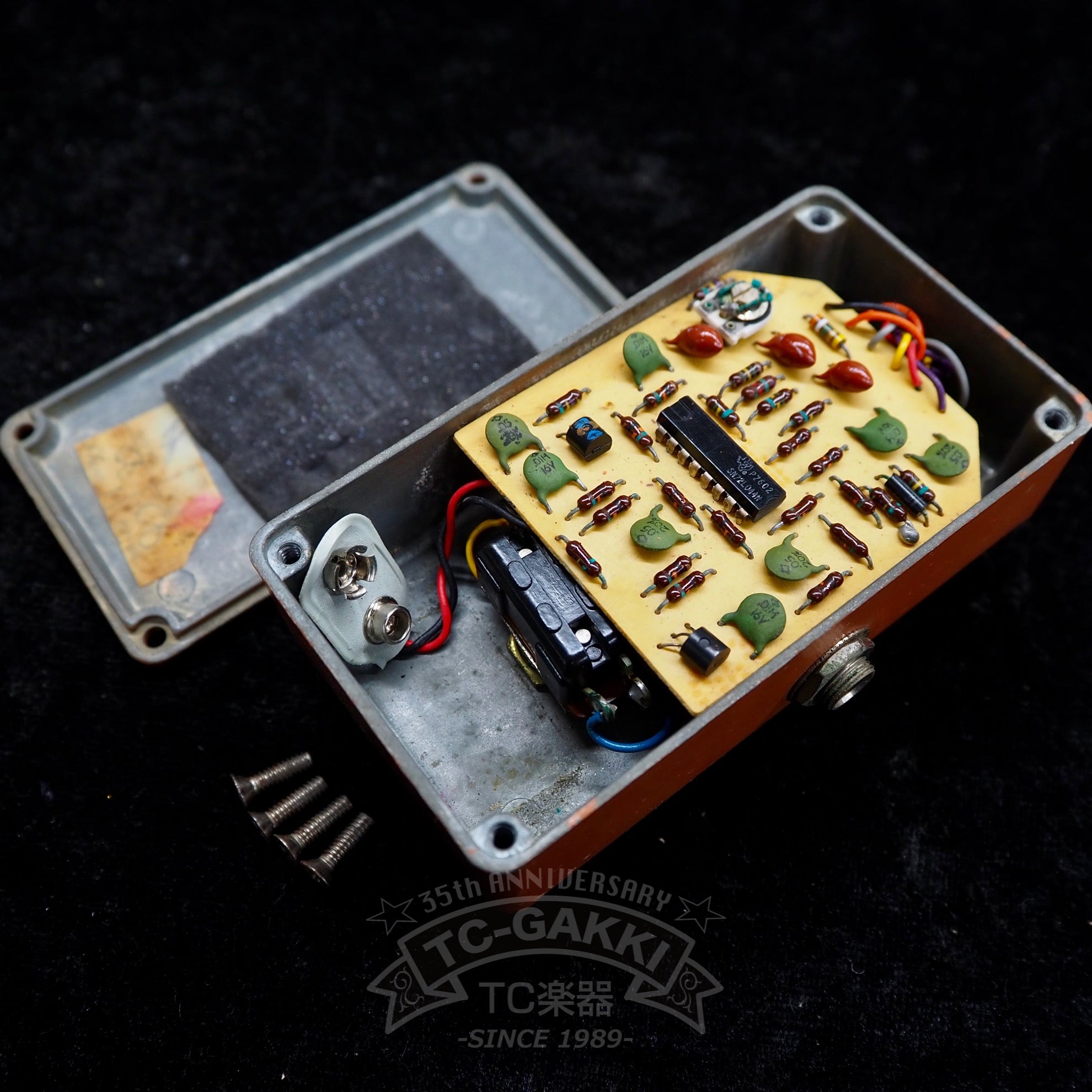 Phase 45 (Script Logo) - TC楽器 - TCGAKKI