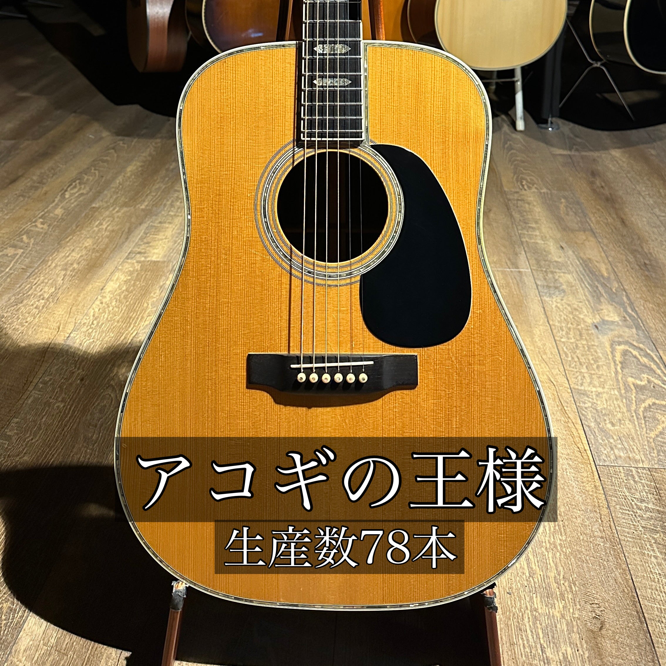 アコースティックギター｜オンライン販売｜TC楽器・大久保管楽器店