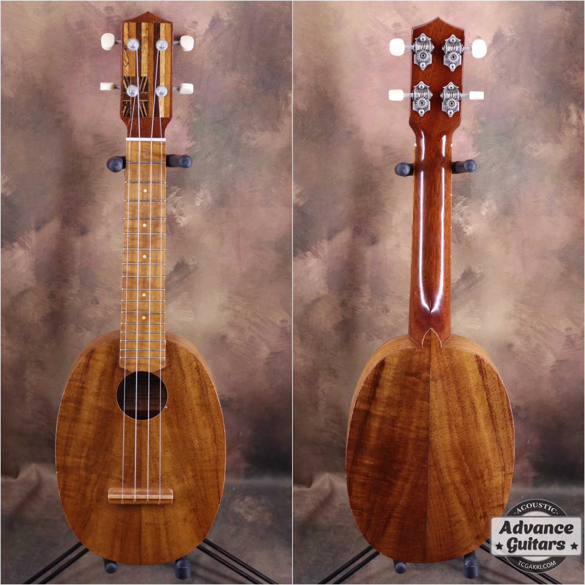 Pineapple - TC楽器 - TCGAKKI