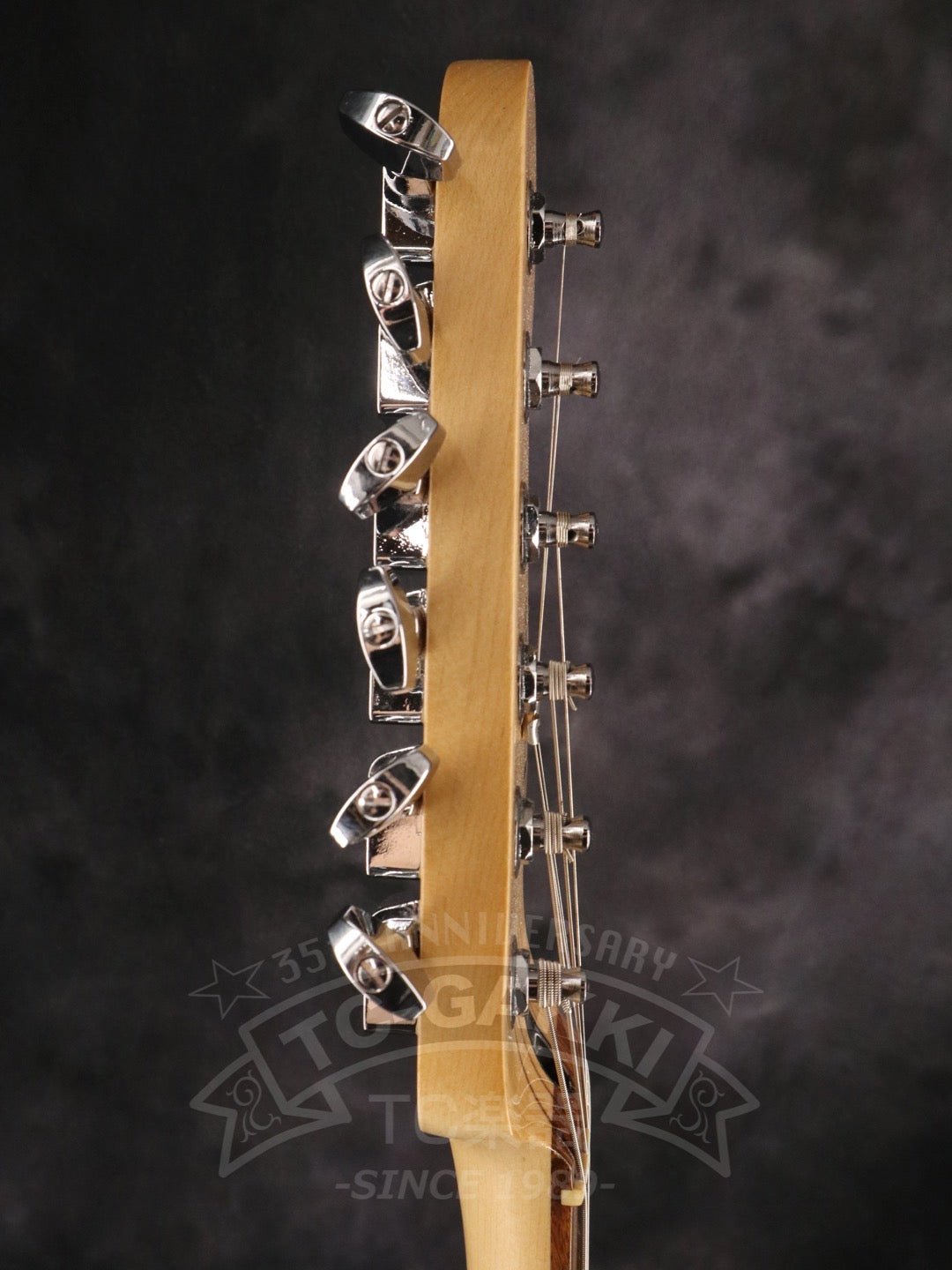 Player Stratocaster - TC楽器 - TCGAKKI