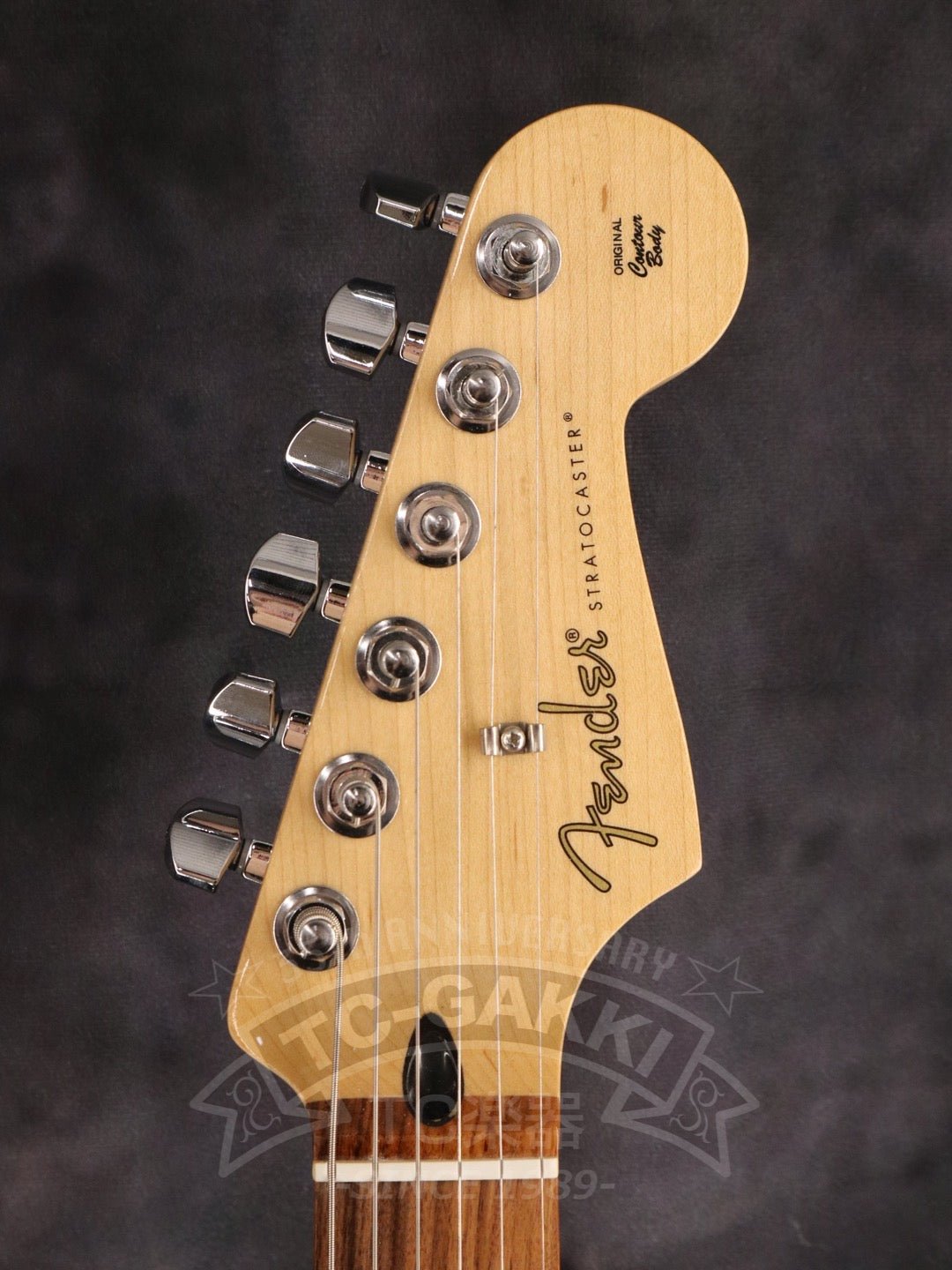 Player Stratocaster - TC楽器 - TCGAKKI