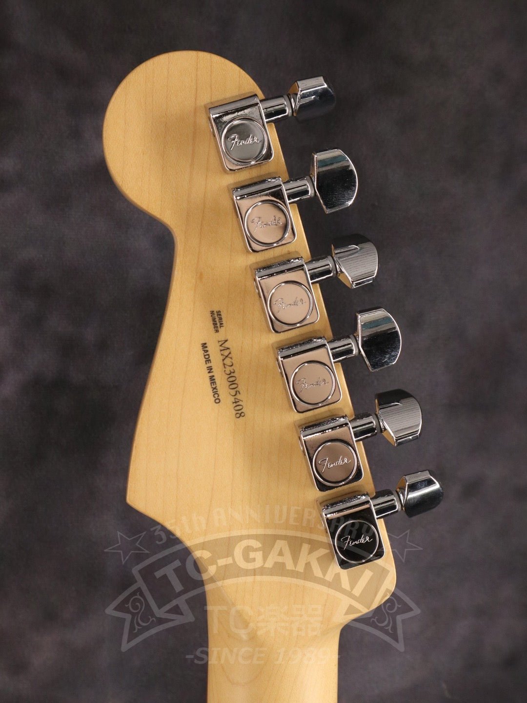 Player Stratocaster - TC楽器 - TCGAKKI