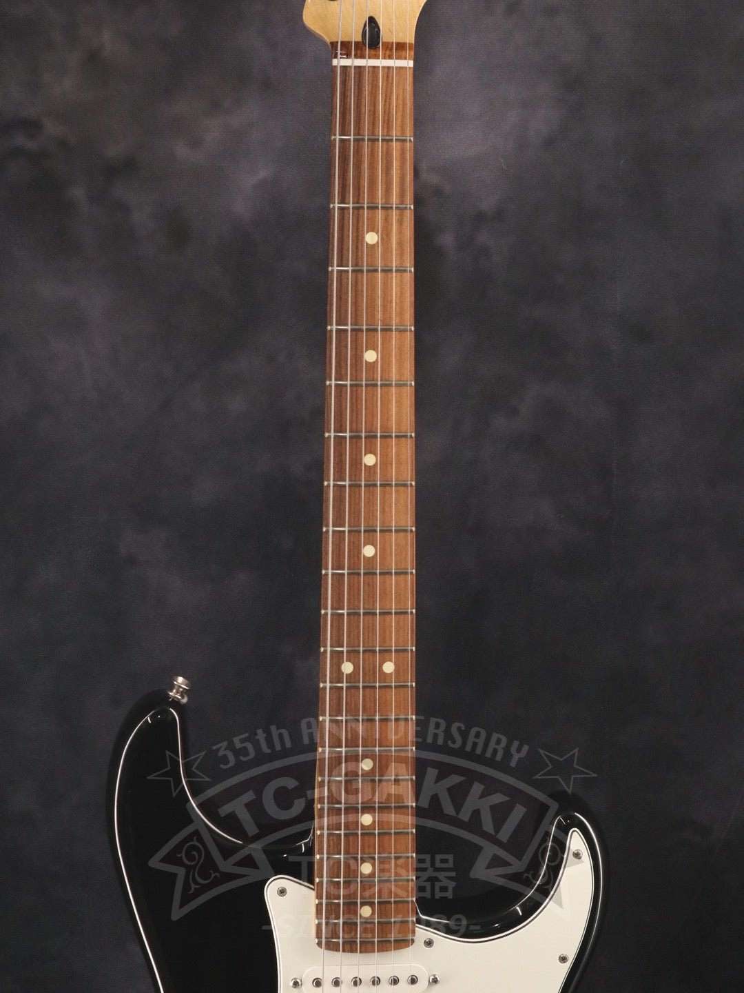 Player Stratocaster - TC楽器 - TCGAKKI