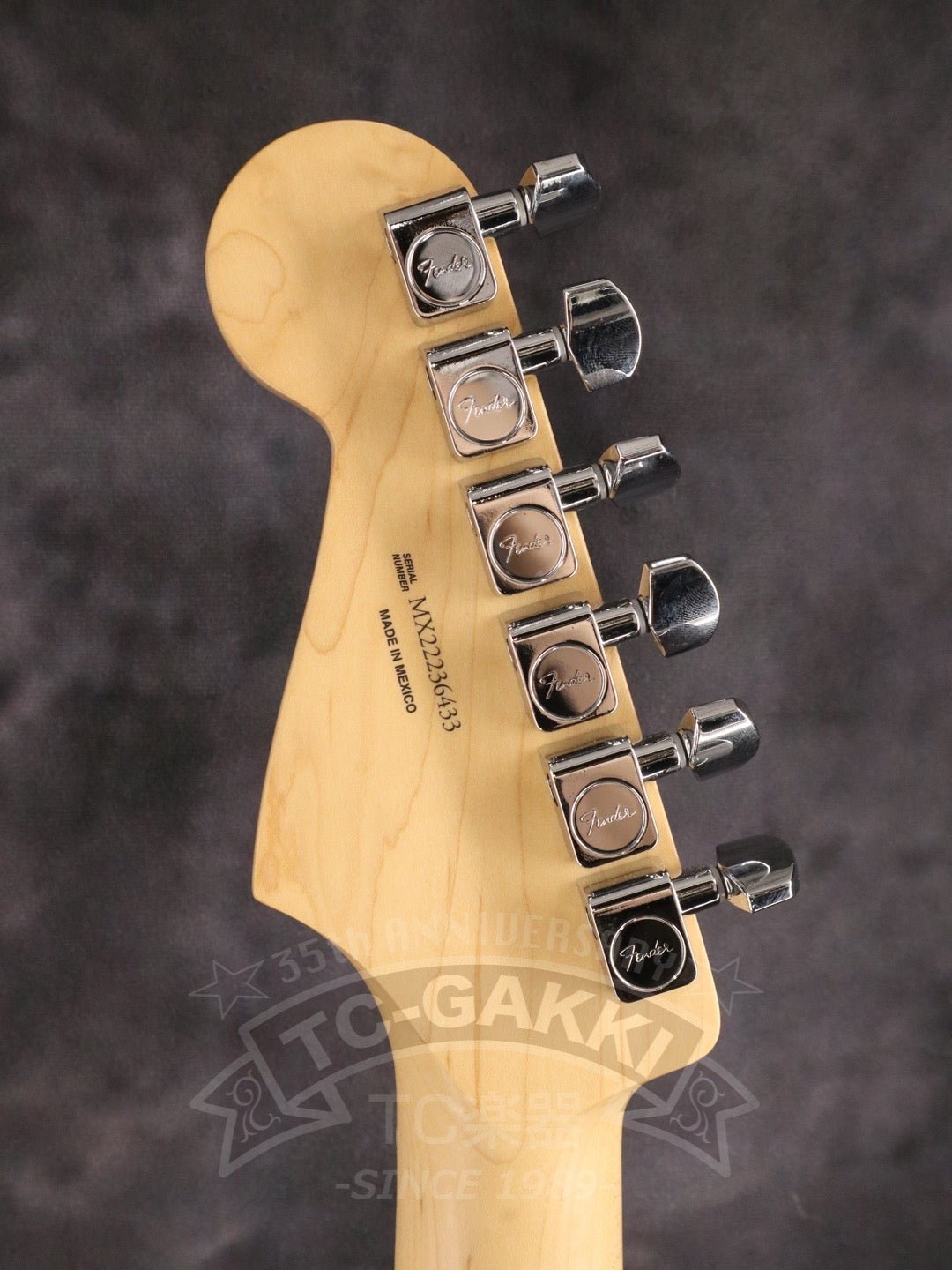 Player Stratocaster HSS - TC楽器 - TCGAKKI