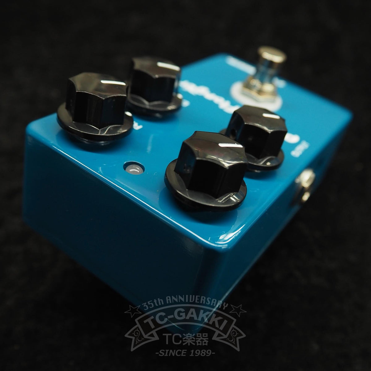PLAYTECH Pisces Flanger - TC楽器 - TCGAKKI