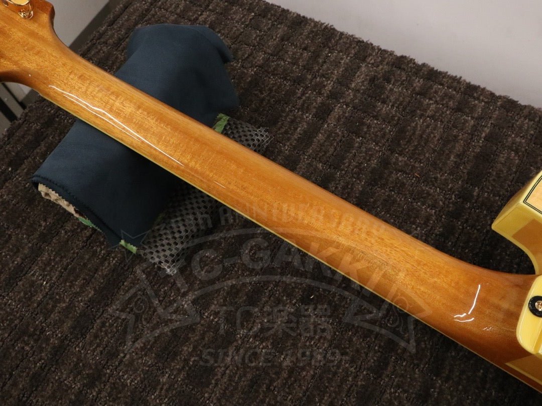 PM120 - TC楽器 - TCGAKKI