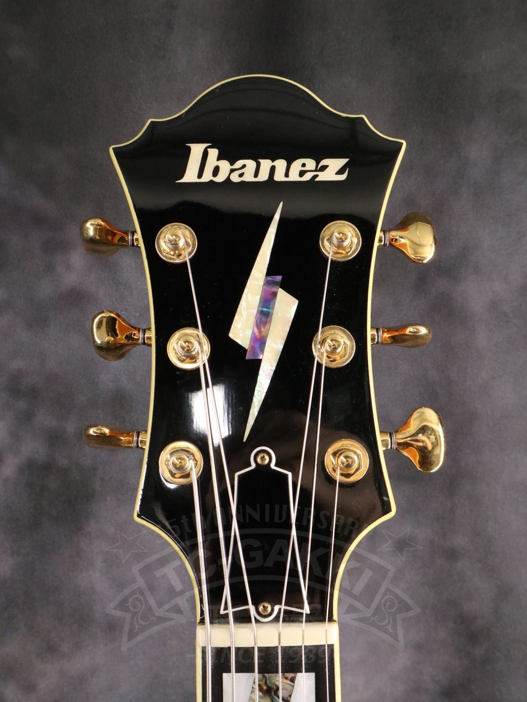 PM120 - TC楽器 - TCGAKKI