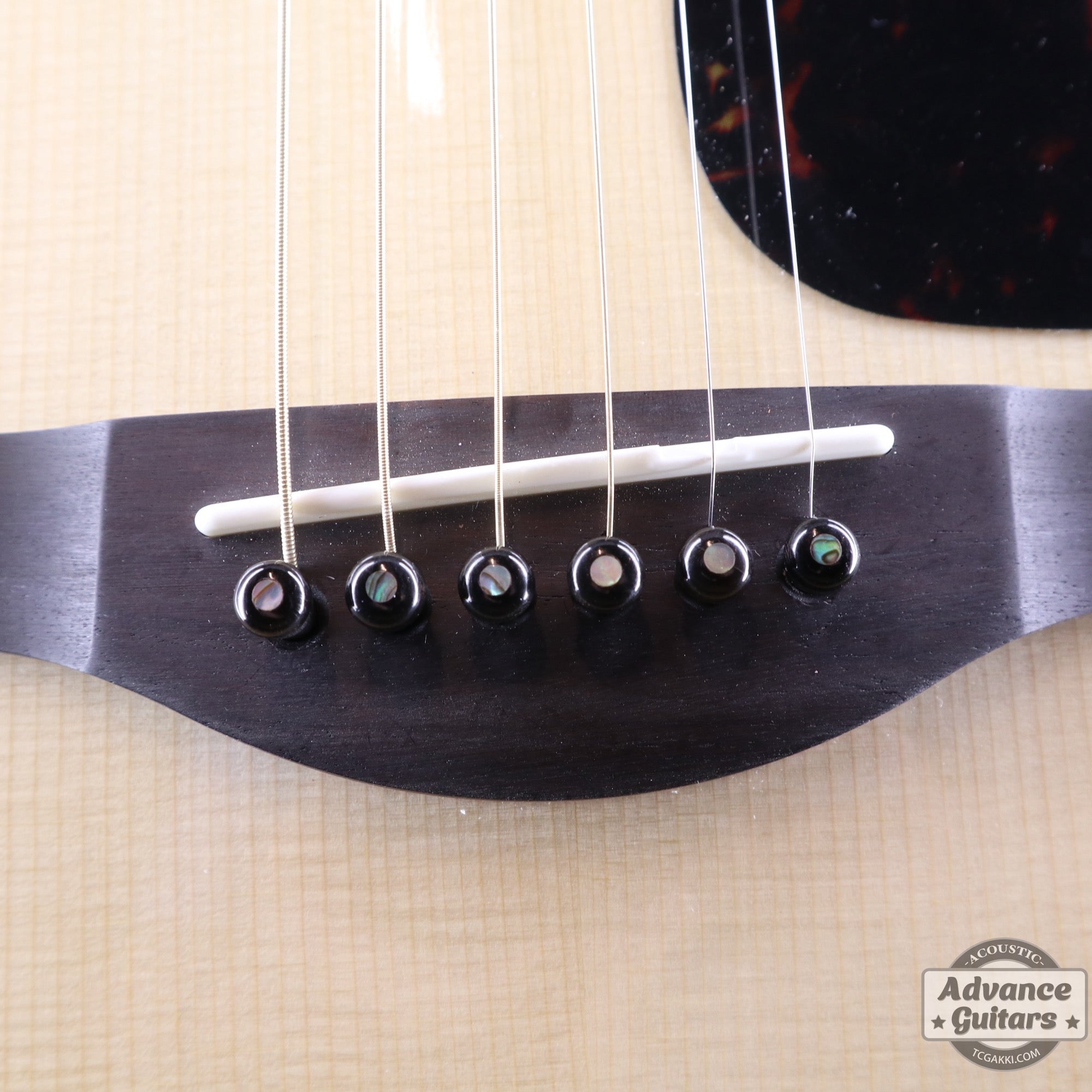 Preciso Bone Bridge Pin & End Pin Set（Black Water Buffalo Horn & Abalone Dot） - TC楽器 - TCGAKKI