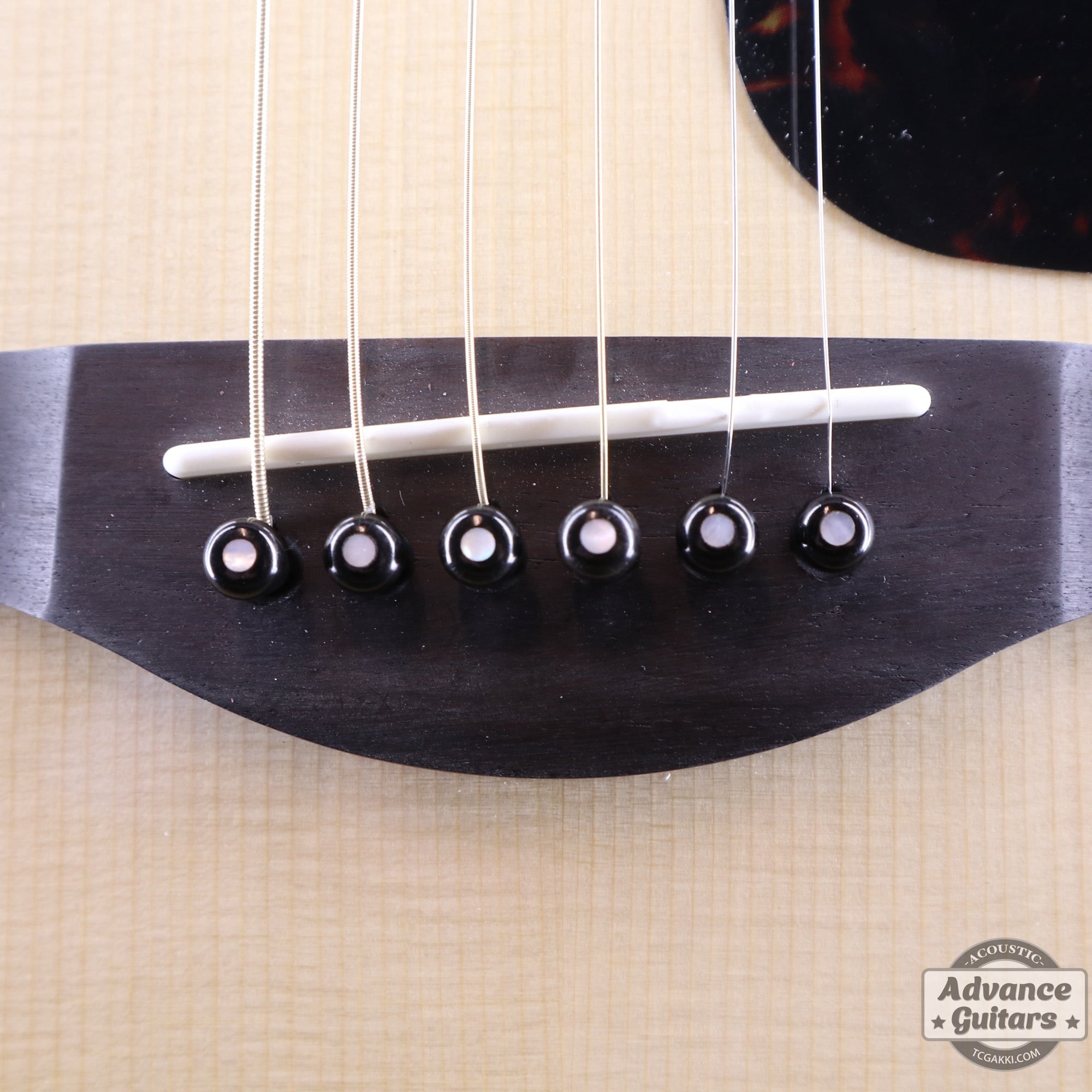 Preciso Bone Bridge Pin & End Pin Set（Black Water Buffalo Horn & Mother of Pearl Dot） - TC楽器 - TCGAKKI