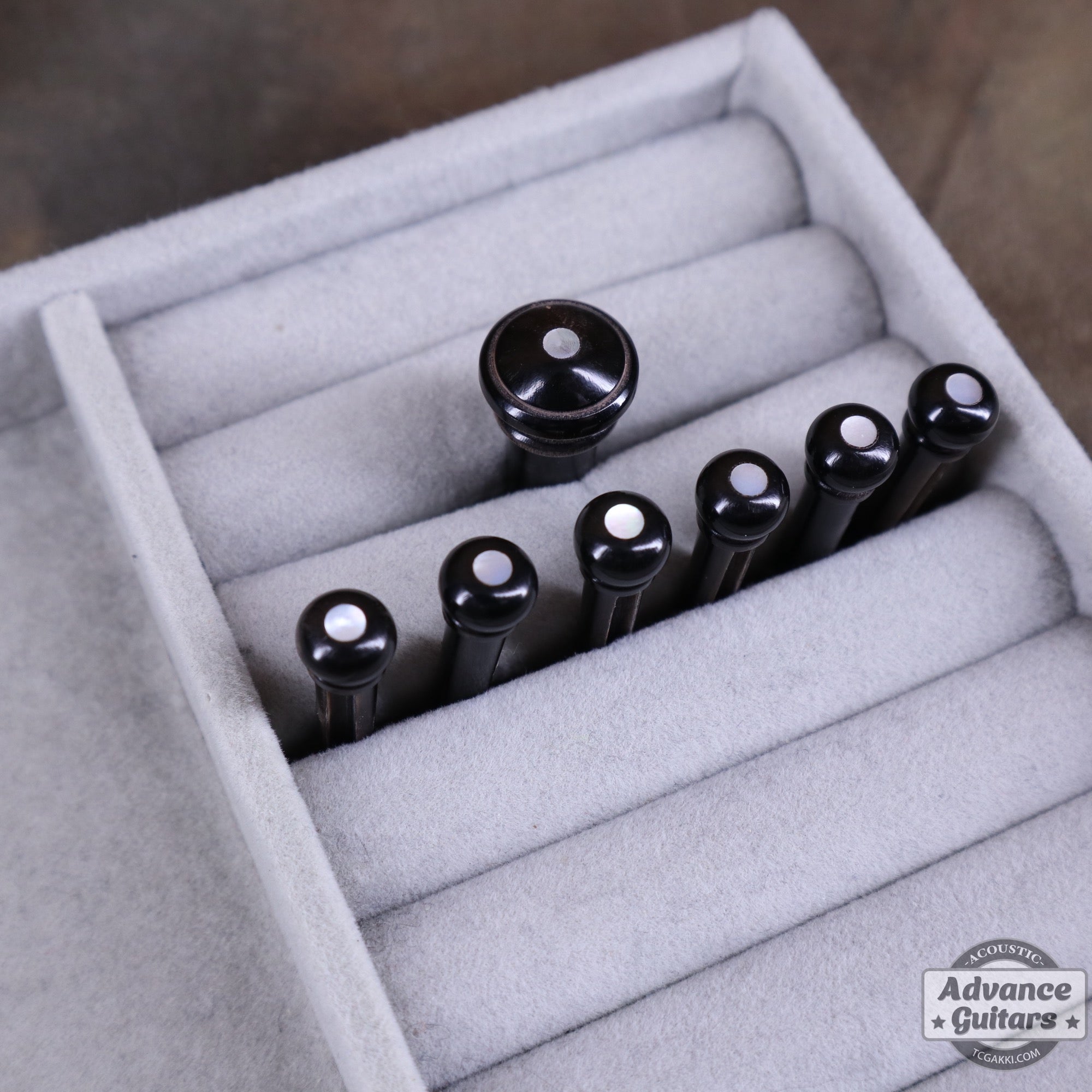 Preciso Bone Bridge Pin & End Pin Set（Black Water Buffalo Horn & Mother of Pearl Dot） - TC楽器 - TCGAKKI