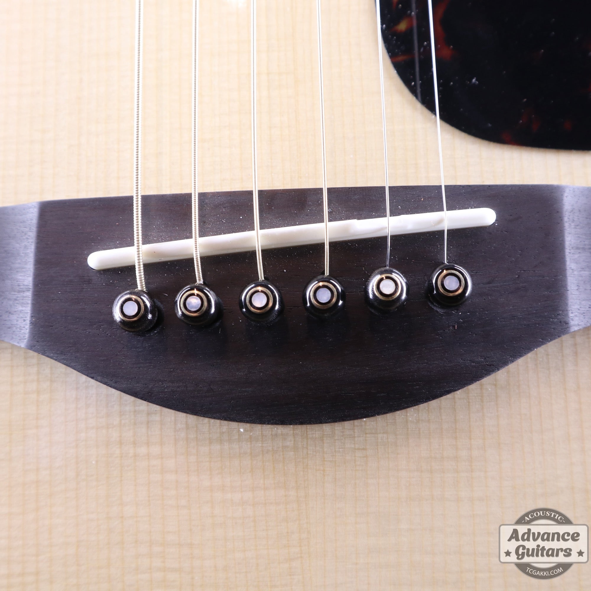 Preciso Bone Bridge Pin & End Pin Set（Black Water Buffalo Horn & Mother of Pearl & Parisian Eye） - TC楽器 - TCGAKKI