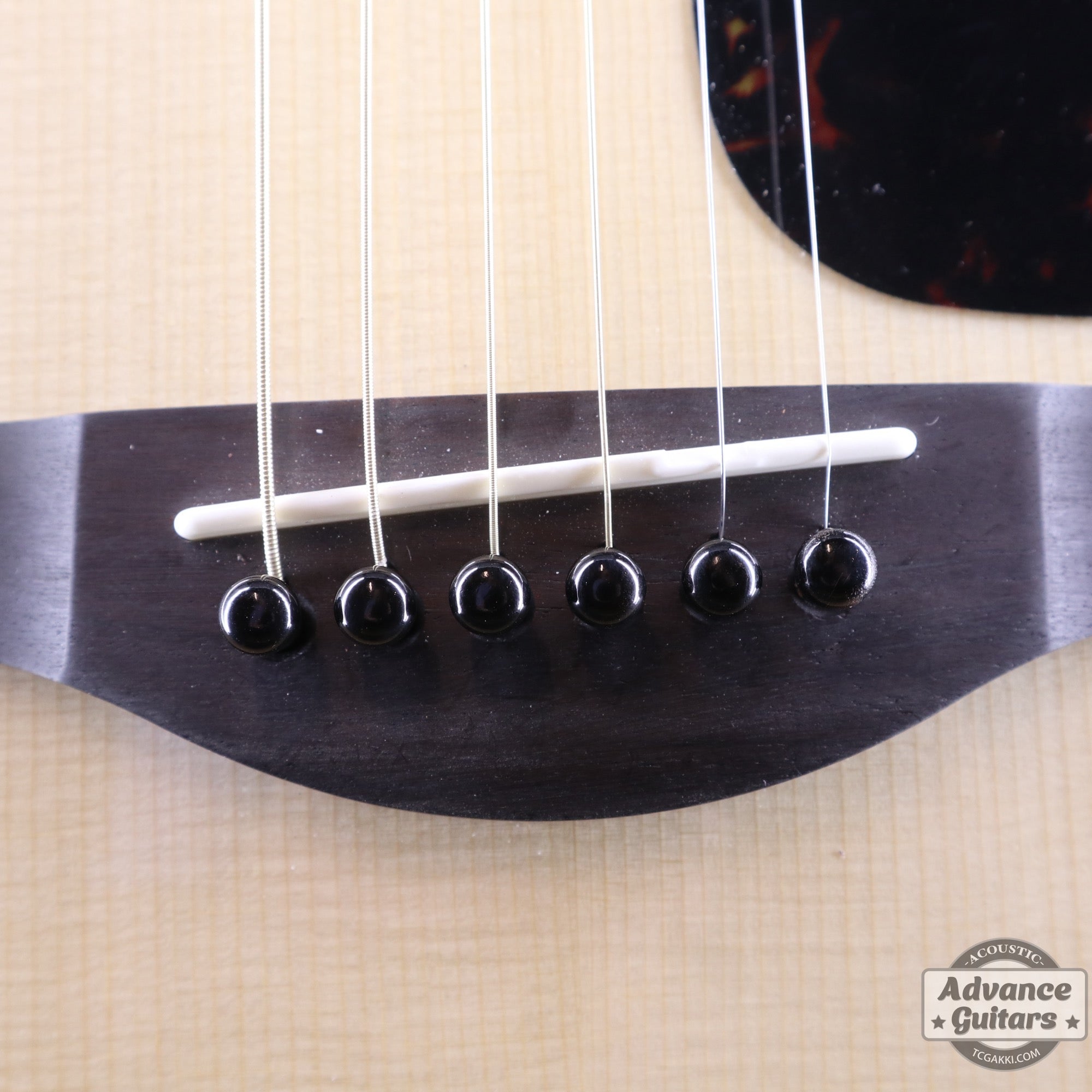 Preciso Bone Bridge Pin & End Pin Set（Black Water Buffalo Horn & Plain） - TC楽器 - TCGAKKI