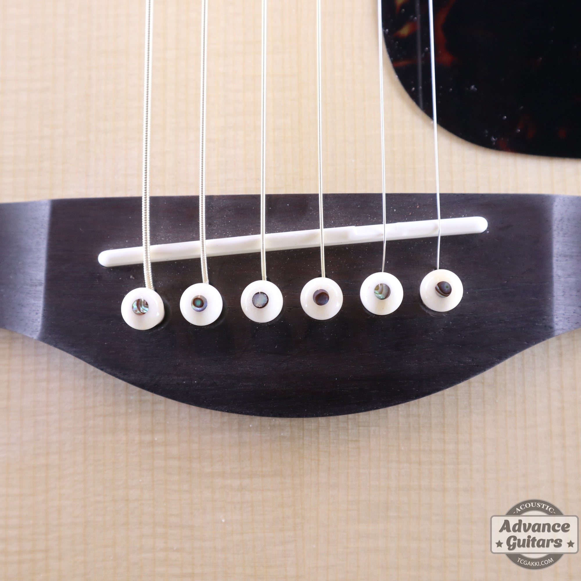 Preciso Bridge Pin & End Pin Set（Bone & Abalone Dot） - TC楽器 - TCGAKKI