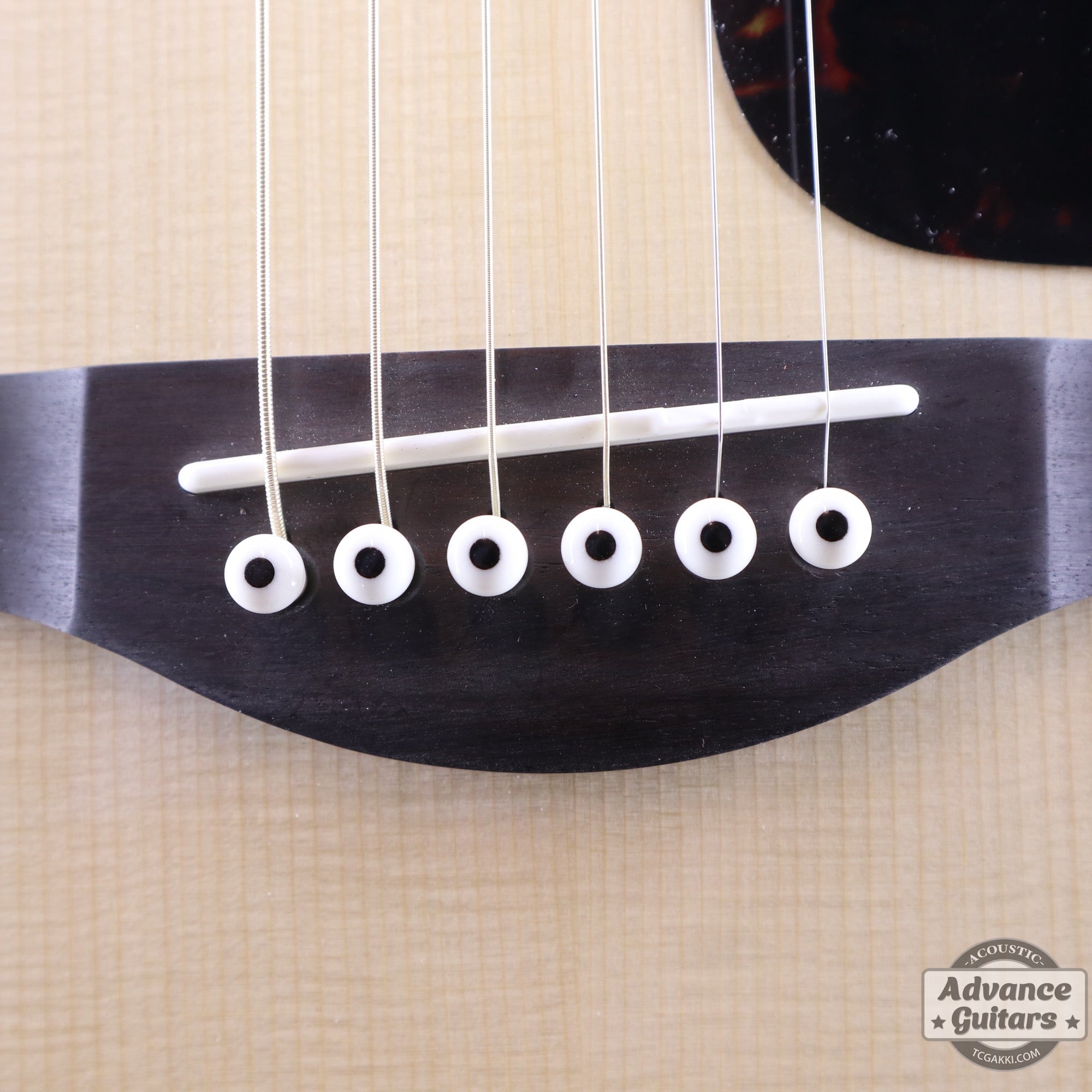 Preciso Bridge Pin & End Pin Set（Bone & Ebony Dot） - TC楽器 - TCGAKKI