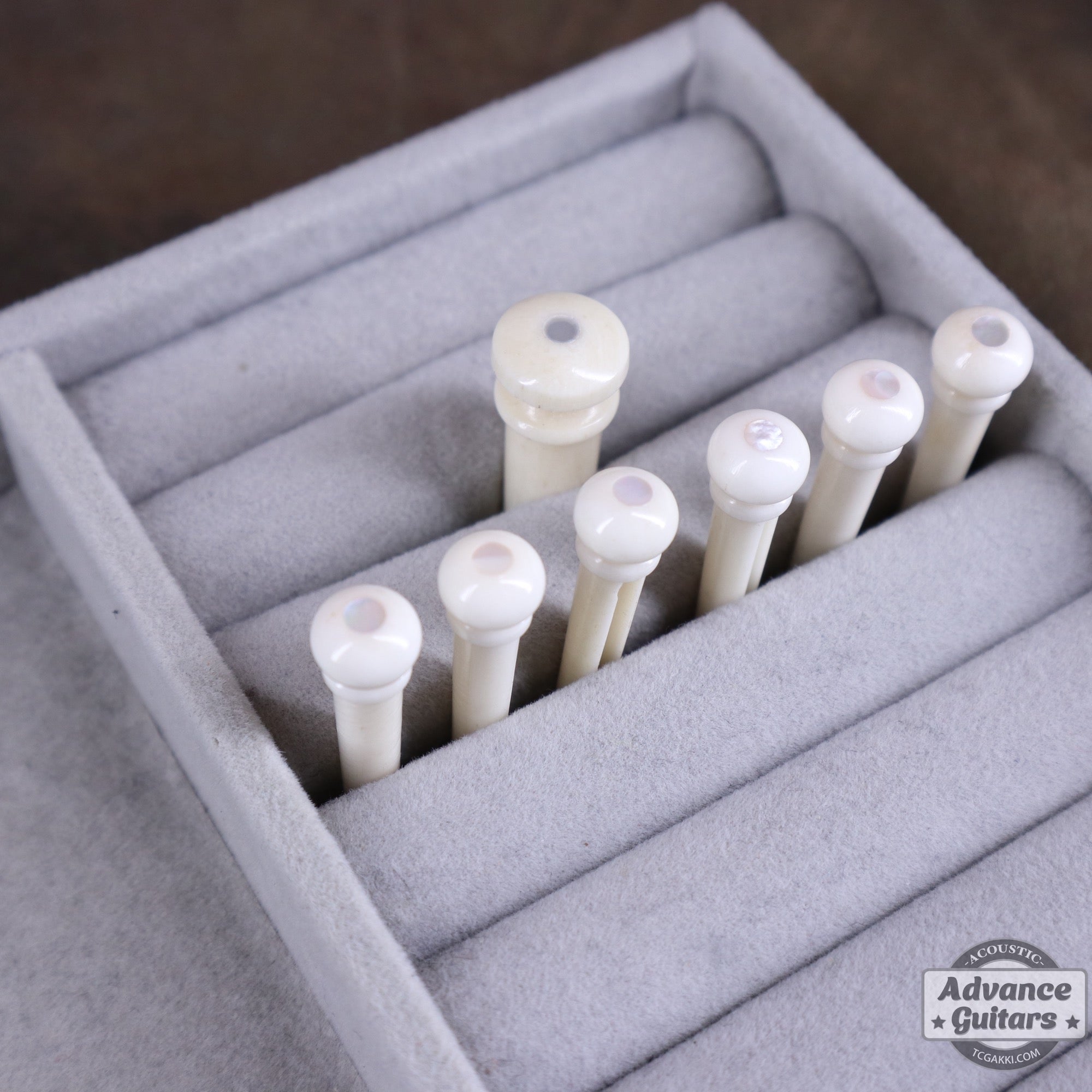 Preciso Bridge Pin & End Pin Set（Bone & Mother of Pearl Dot） - TC楽器 - TCGAKKI