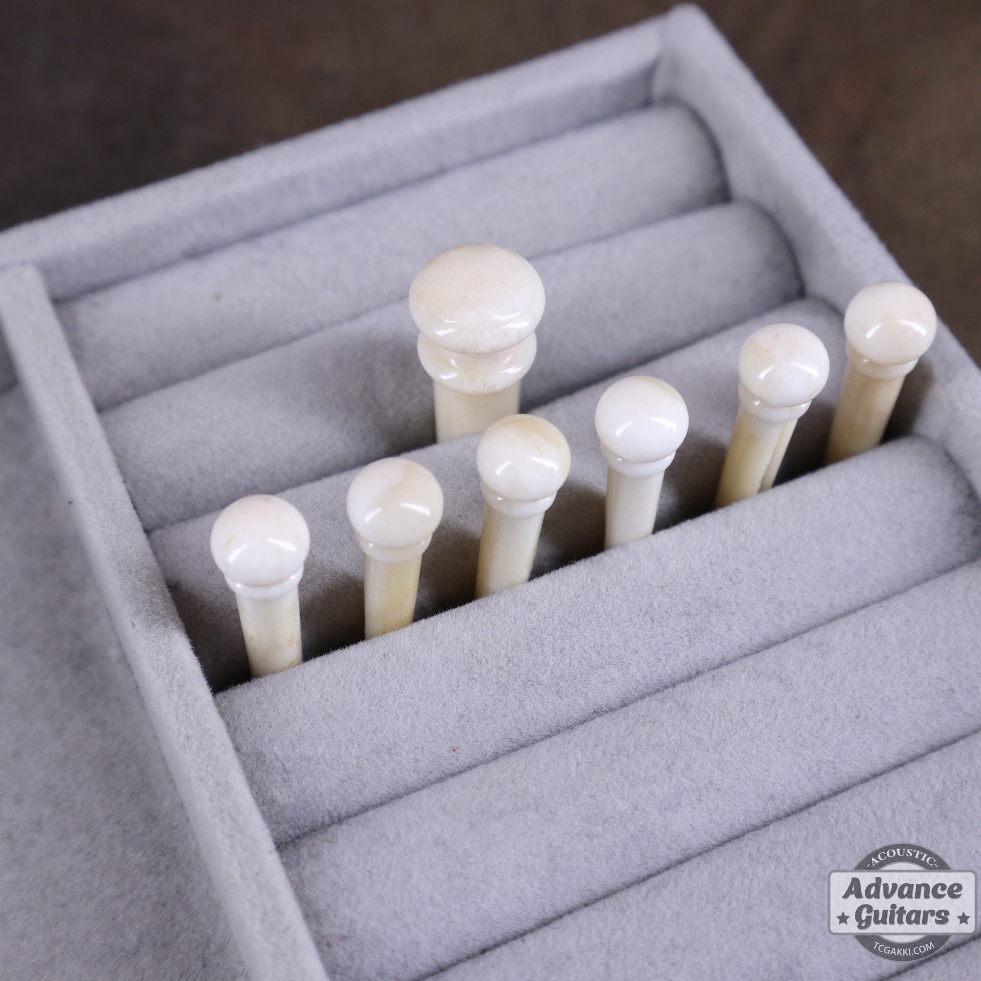 Preciso Bridge Pin & End Pin Set（Bone & Plain） - TC楽器 - TCGAKKI