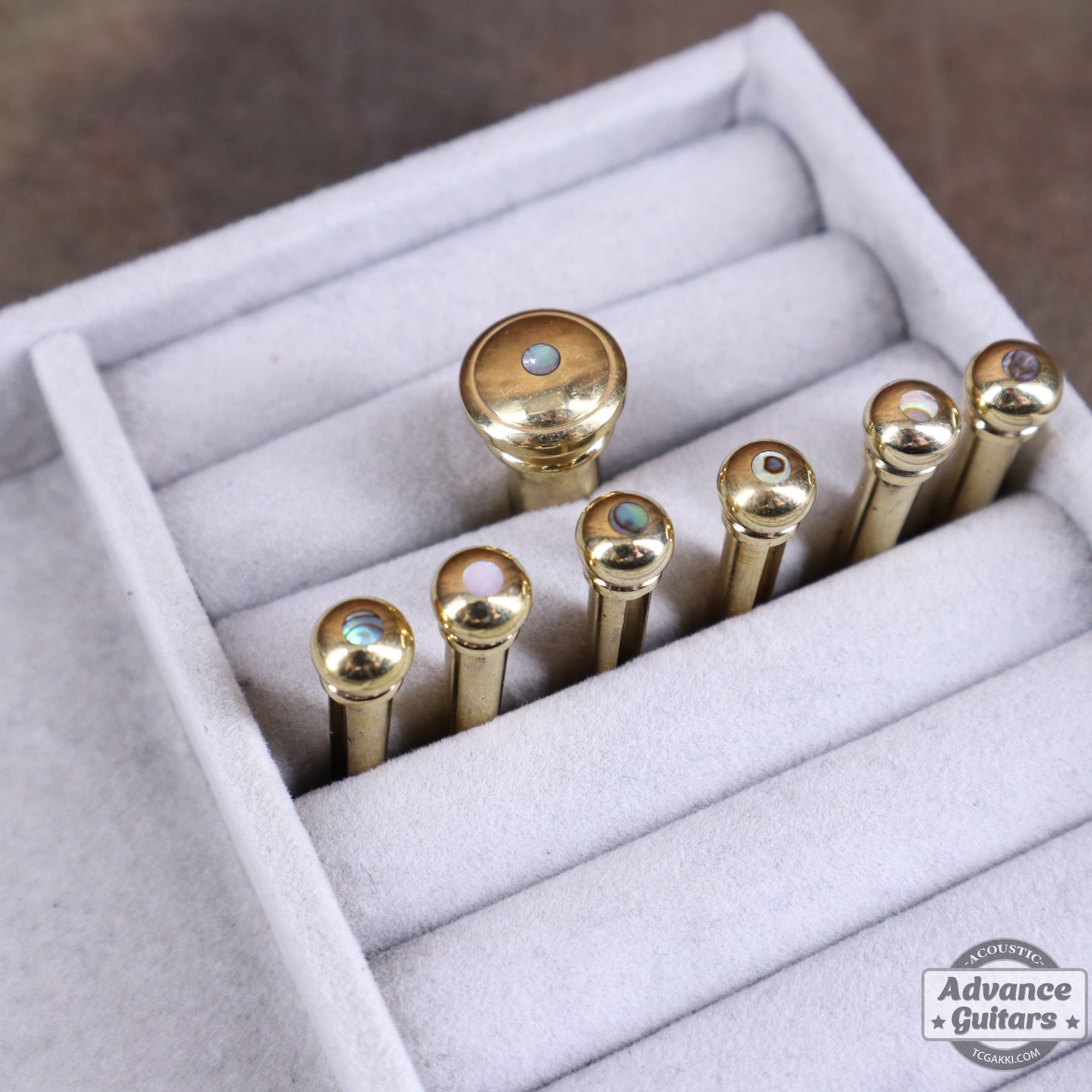 Preciso Bridge Pin & End Pin Set（Brass & Abalone Dot） - TC楽器 - TCGAKKI