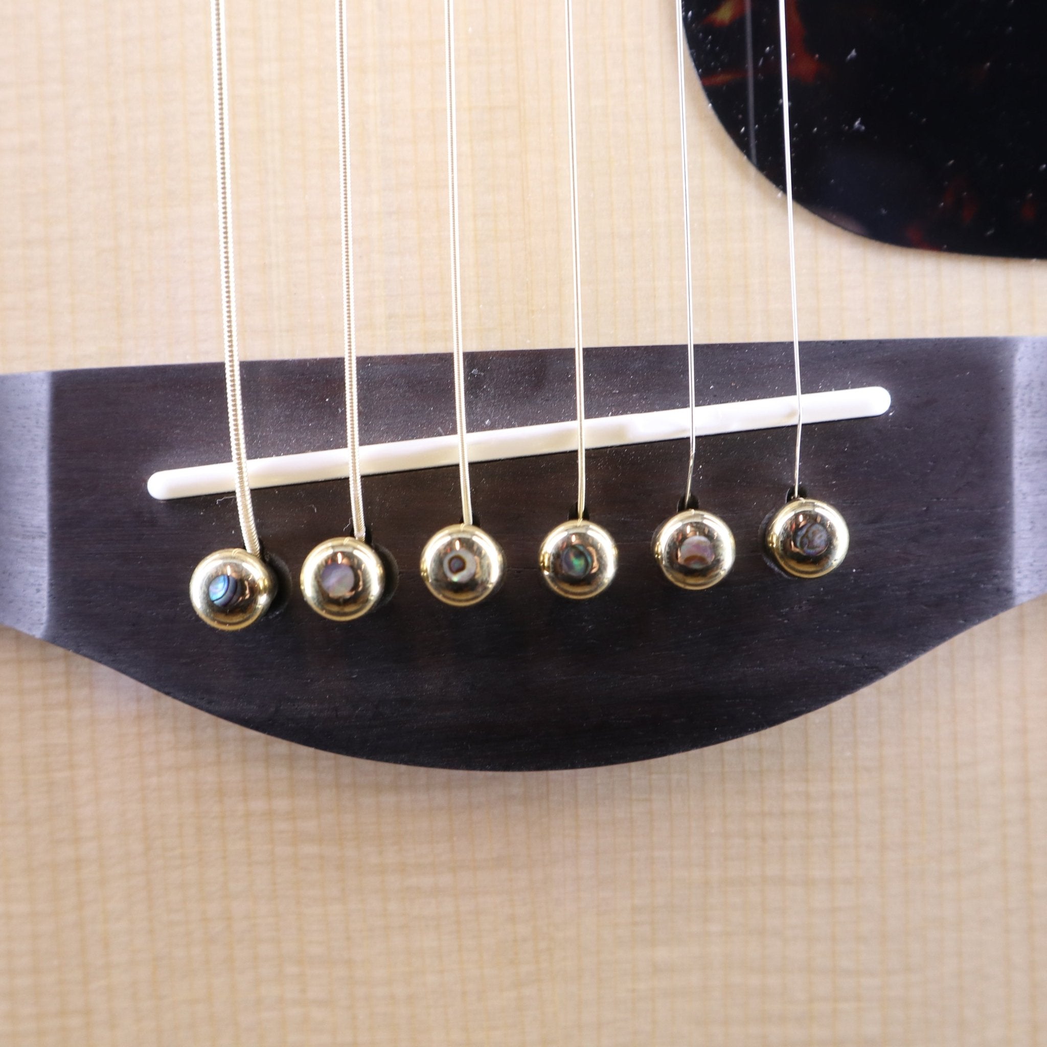 Preciso Bridge Pin & End Pin Set（Brass & Abalone Dot） - TC楽器 - TCGAKKI