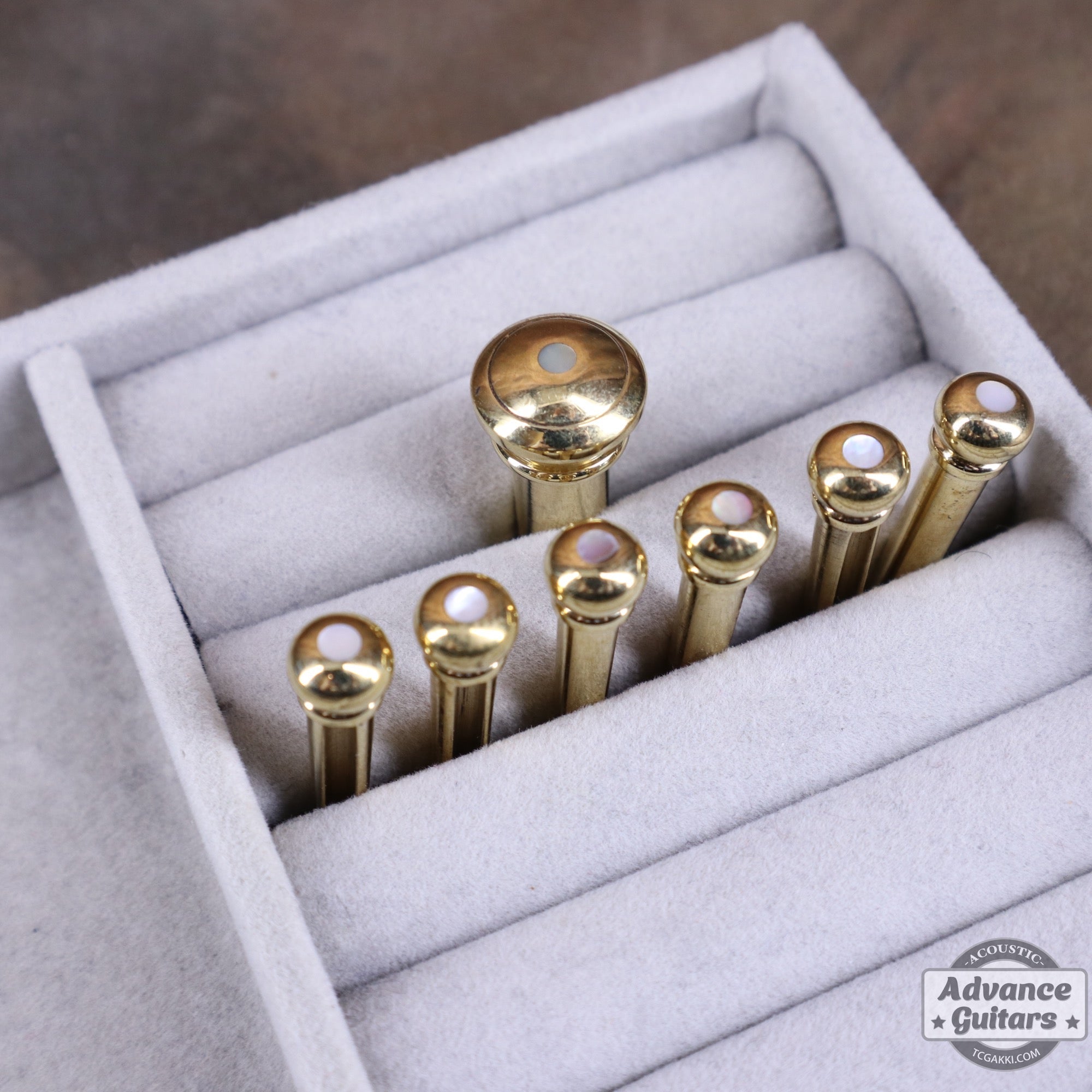 ホビー・楽器・アート tic-tak Preciso Bridge Pin & End Pin Set（Brass & Mother of Pearl Dot）