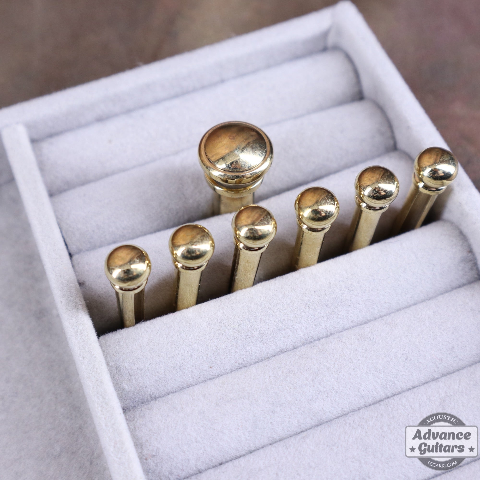 Preciso Bridge Pin & End Pin Set（Brass & Plain） - TC楽器 - TCGAKKI