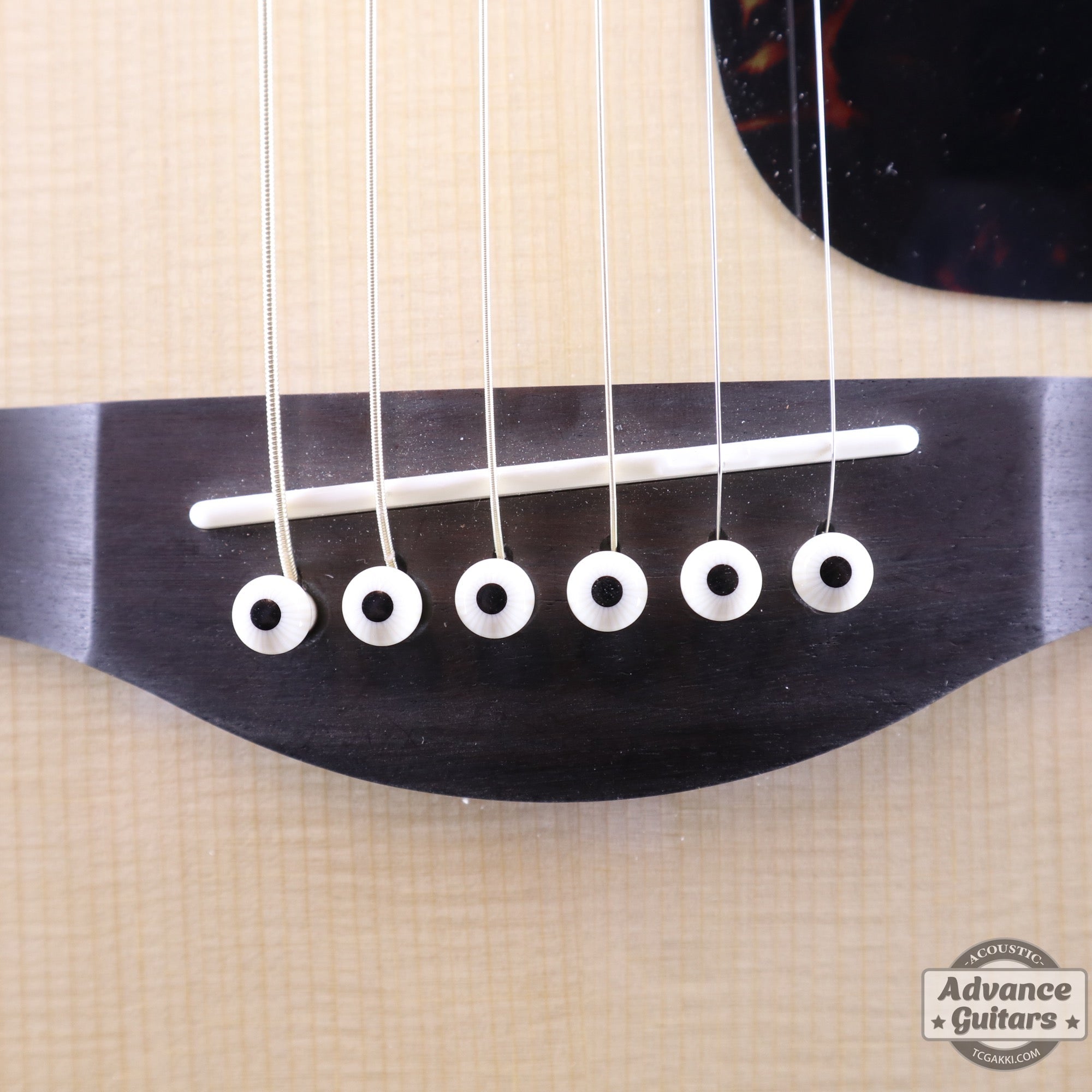 Preciso Bridge Pin & End Pin Set（Galalith Ivoroid & Ebony Dot） - TC楽器 - TCGAKKI