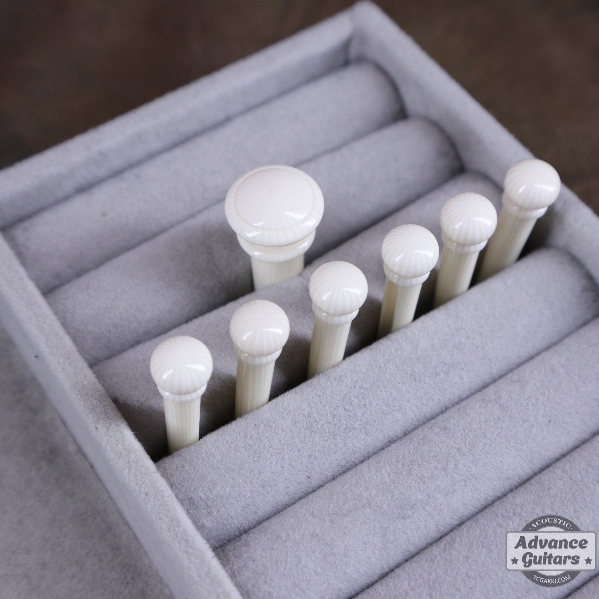 Preciso Bridge Pin & End Pin Set（Galalith Ivoroid Plain） - TC楽器 - TCGAKKI