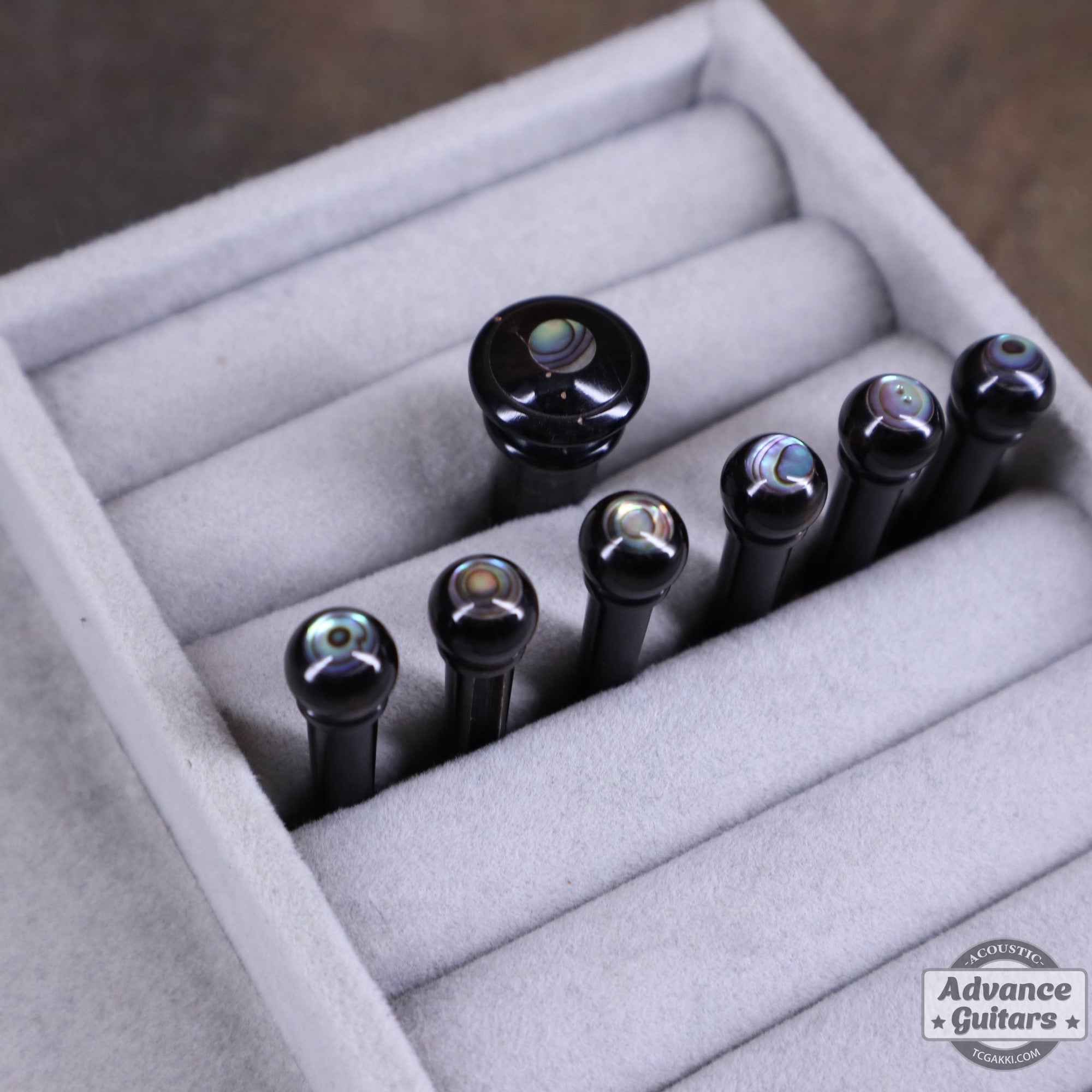 Preciso Domed Bone Bridge Pin & End Pin Set（Black Water Buffalo Horn & Abalone Pine） - TC楽器 - TCGAKKI