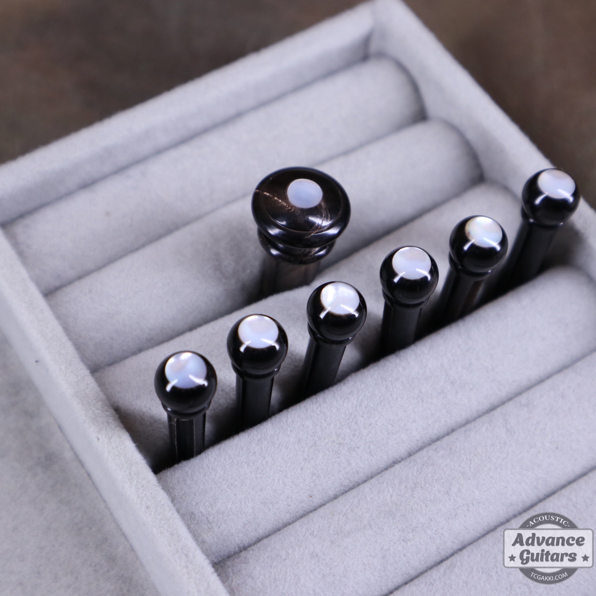Preciso Domed Bone Bridge Pin & End Pin Set（Black Water Buffalo Horn & Mother of Pearl Dot） - TC楽器 - TCGAKKI