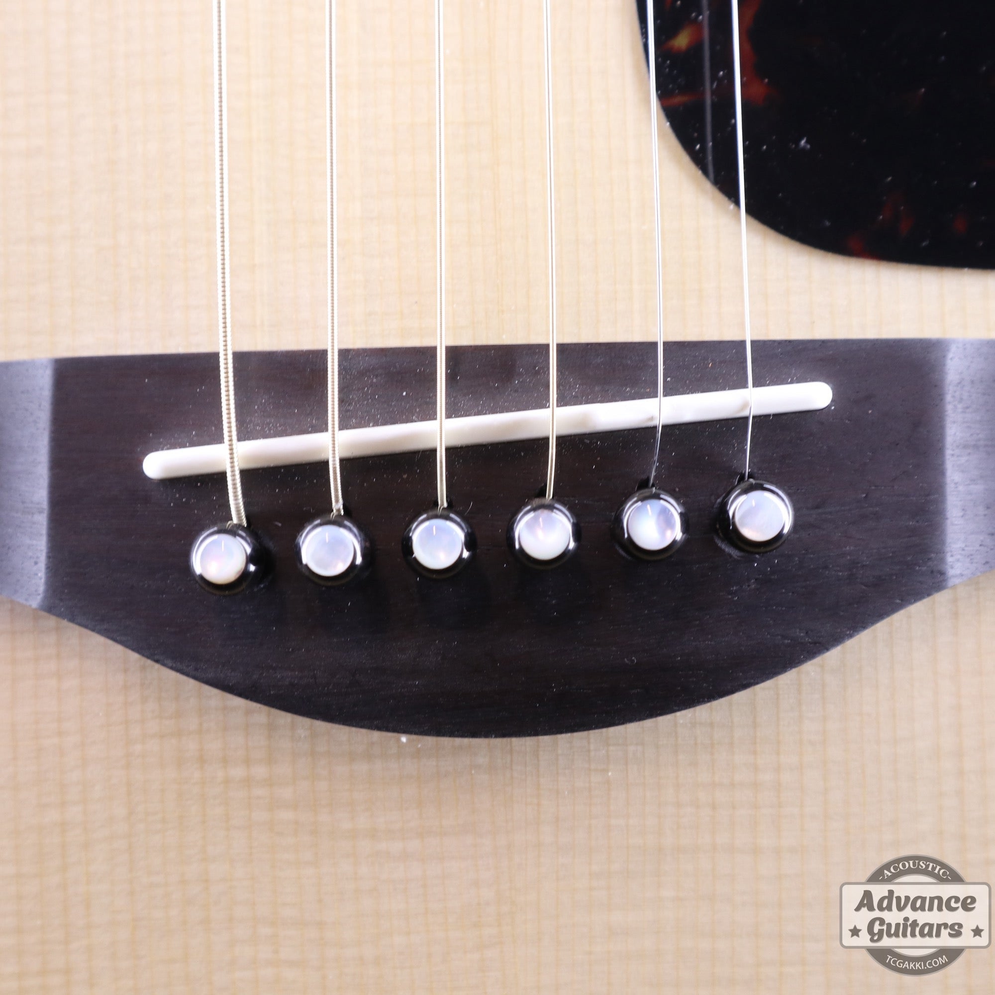 Preciso Domed Bone Bridge Pin & End Pin Set（Black Water Buffalo Horn & Mother of Pearl Dot） - TC楽器 - TCGAKKI