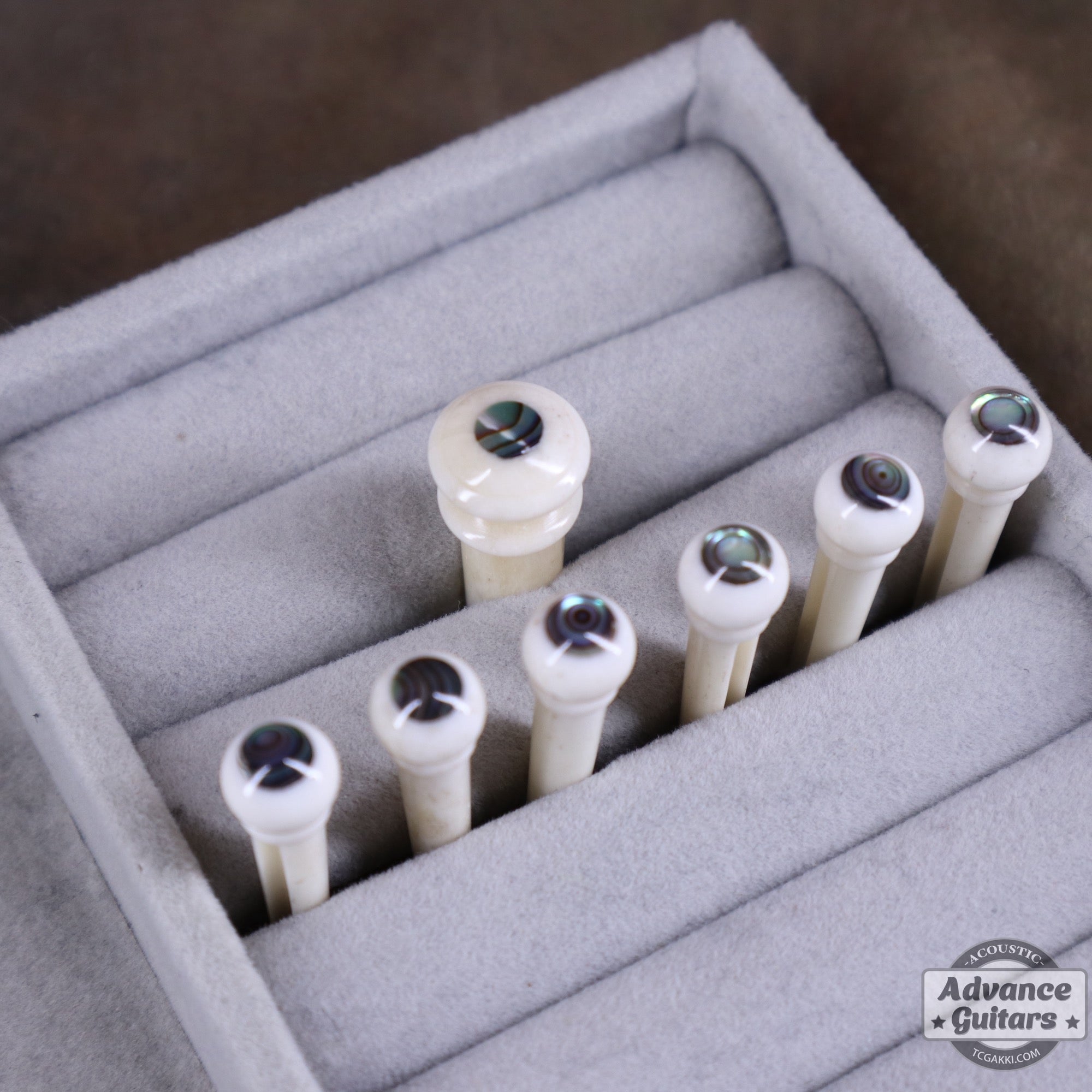Preciso Domed Bridge Pin & End Pin Set（Bone & Abalone Dot） - TC楽器 - TCGAKKI