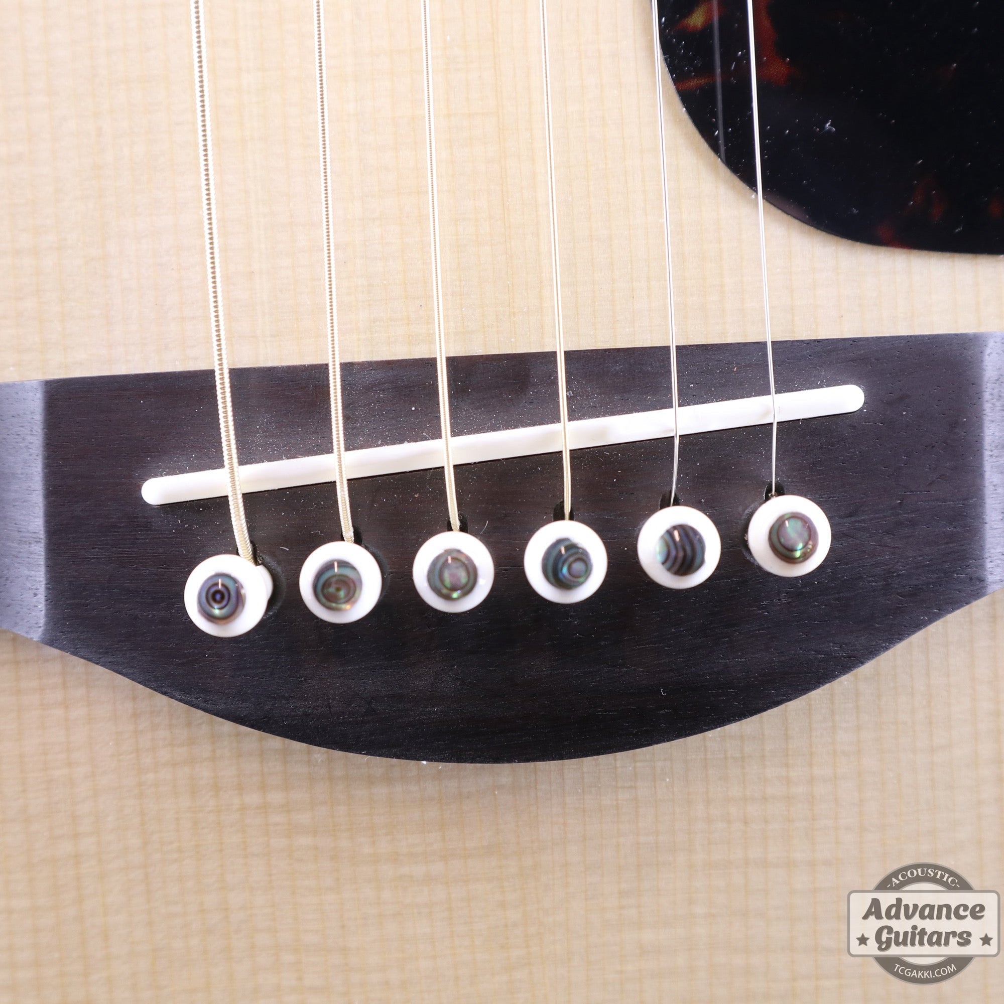 Preciso Domed Bridge Pin & End Pin Set（Bone & Abalone Dot） - TC楽器 - TCGAKKI