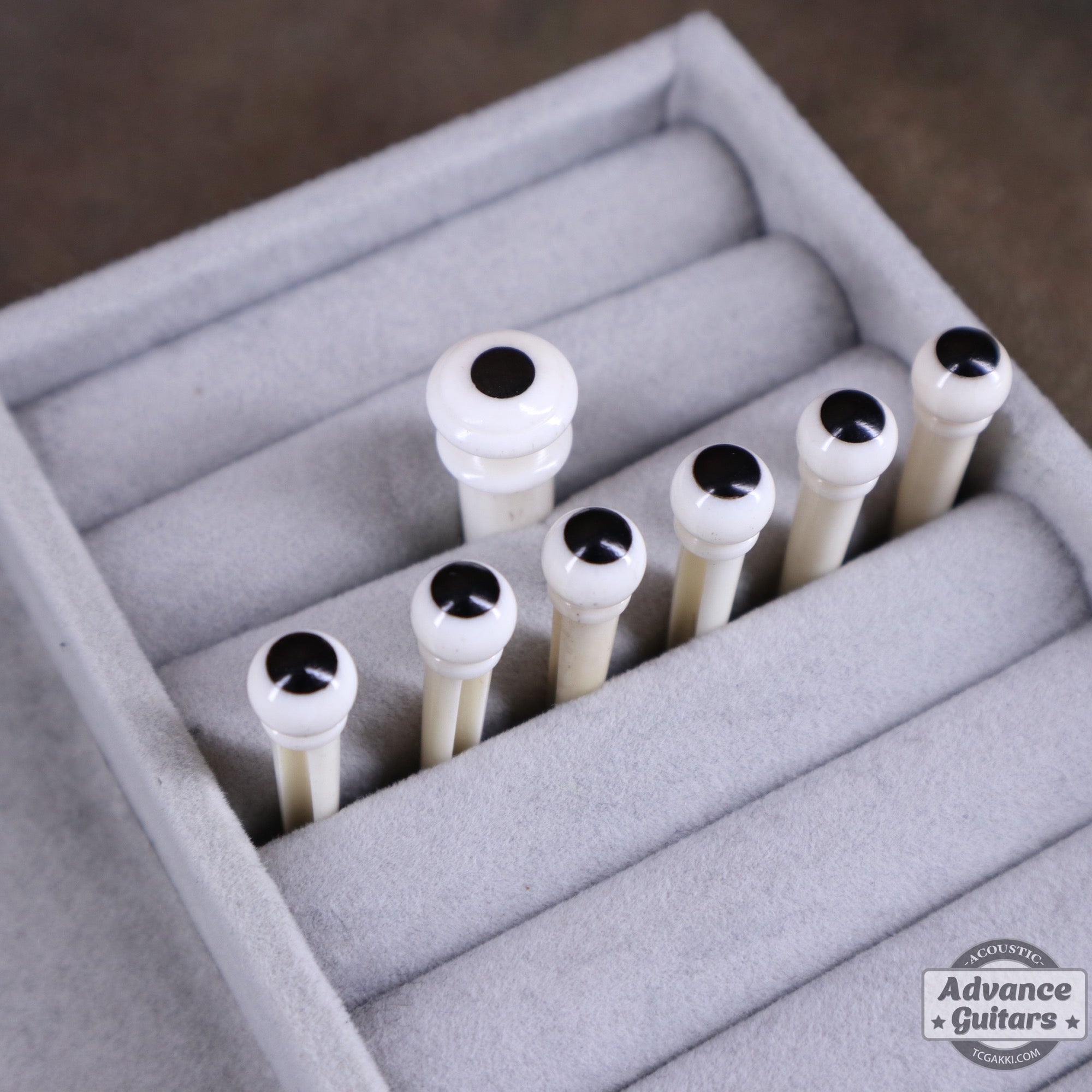 Preciso Domed Bridge Pin & End Pin Set（Bone & Ebony Dot） - TC楽器 - TCGAKKI