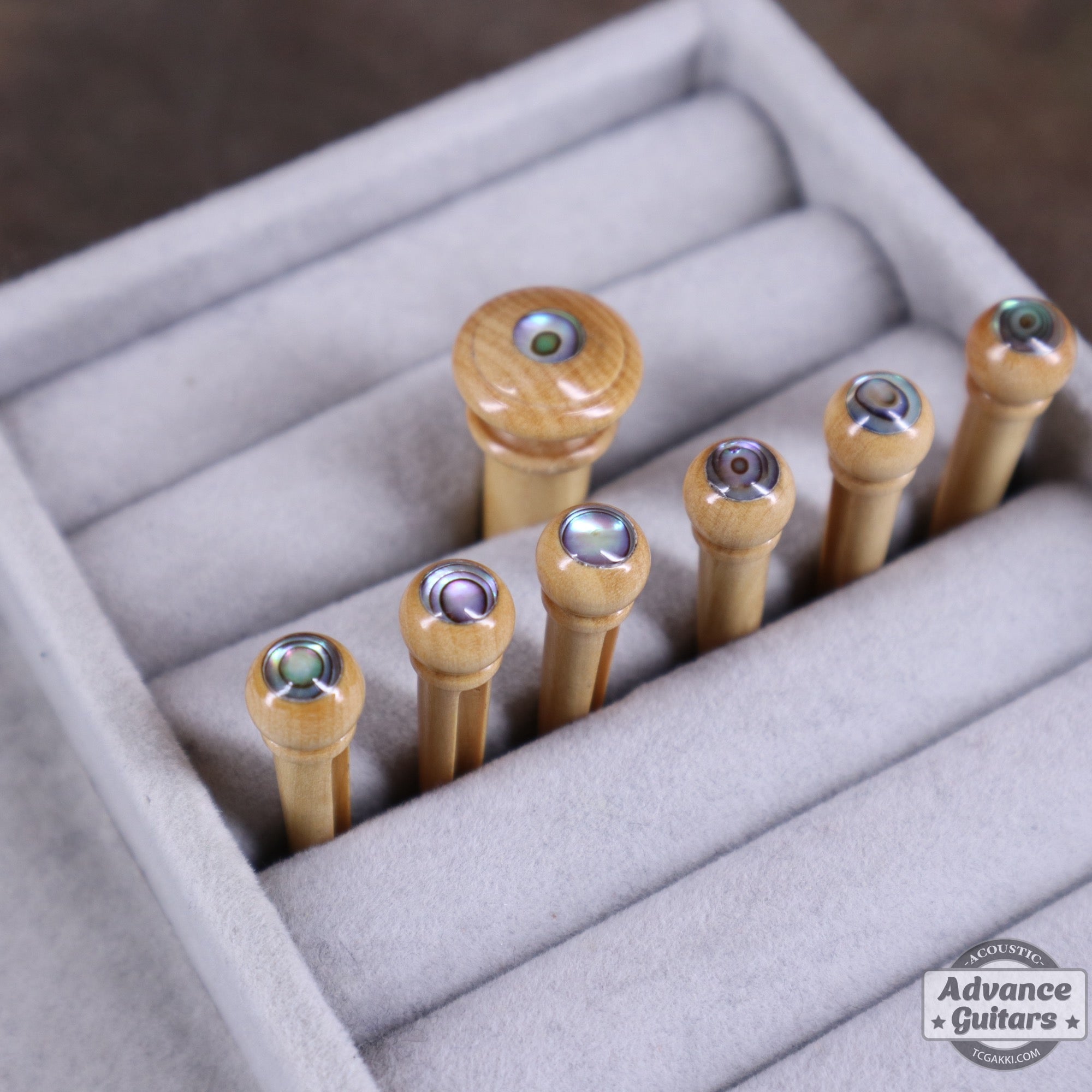 Preciso Domed Wood Bridge Pin & End Pin Set（Boxwood & Abalone Dot） - TC楽器 - TCGAKKI