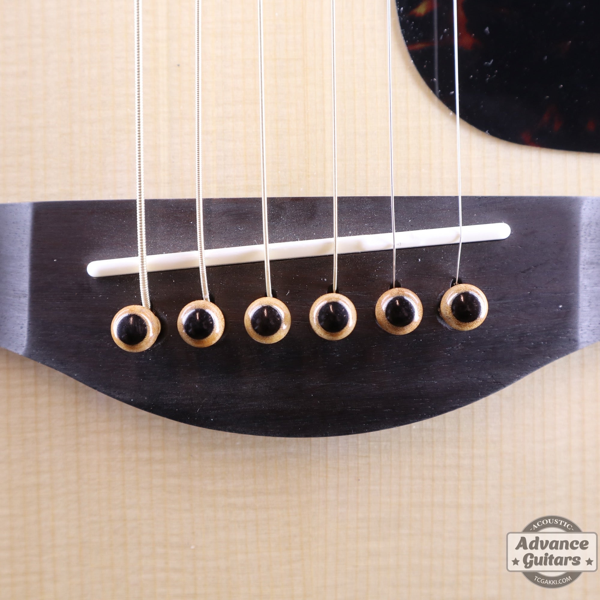 Preciso Domed Wood Bridge Pin & End Pin Set（Boxwood & Ebony Dot） - TC楽器 - TCGAKKI