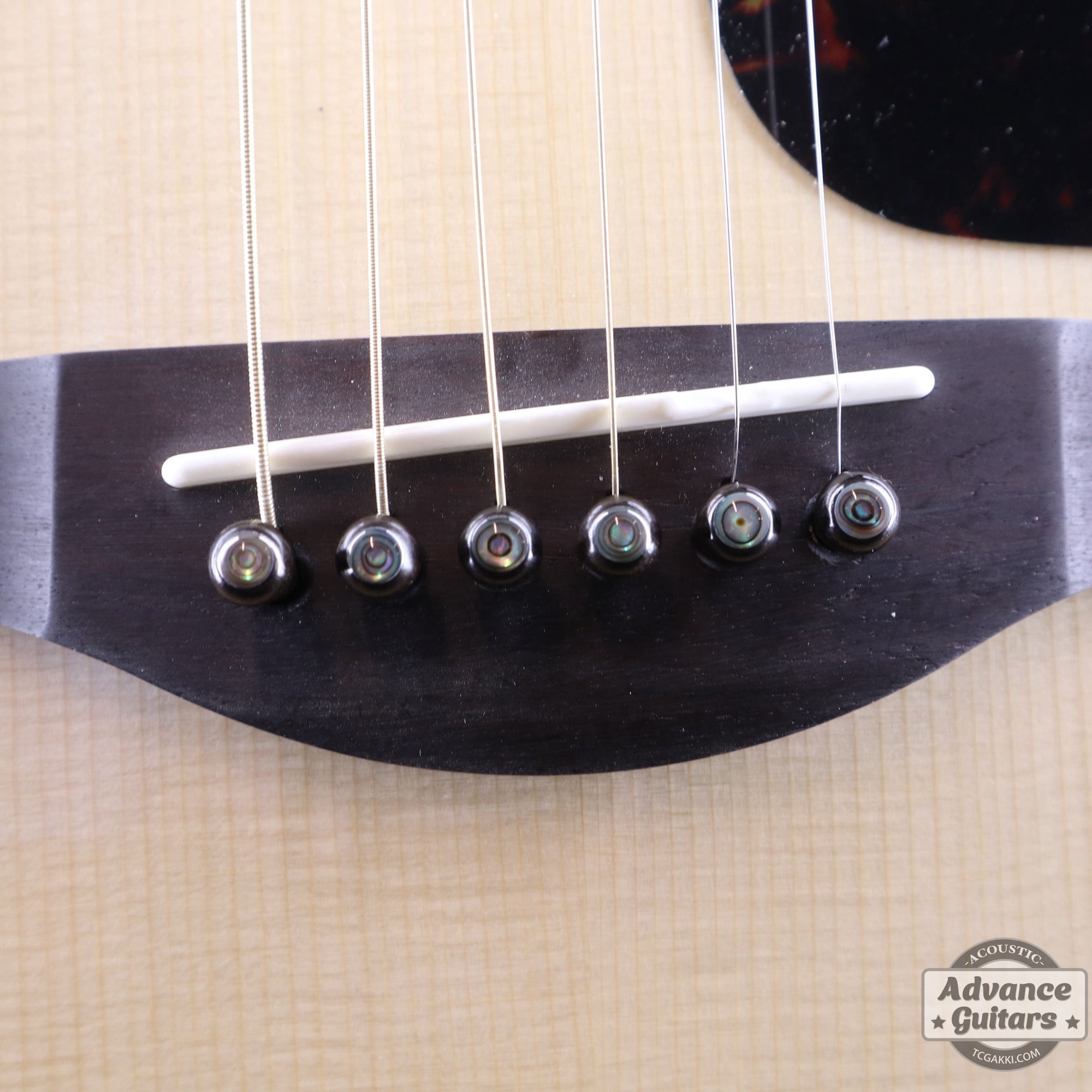 Preciso Domed Wood Bridge Pin & End Pin Set（Ebony & Abalone Dot） - TC楽器 - TCGAKKI