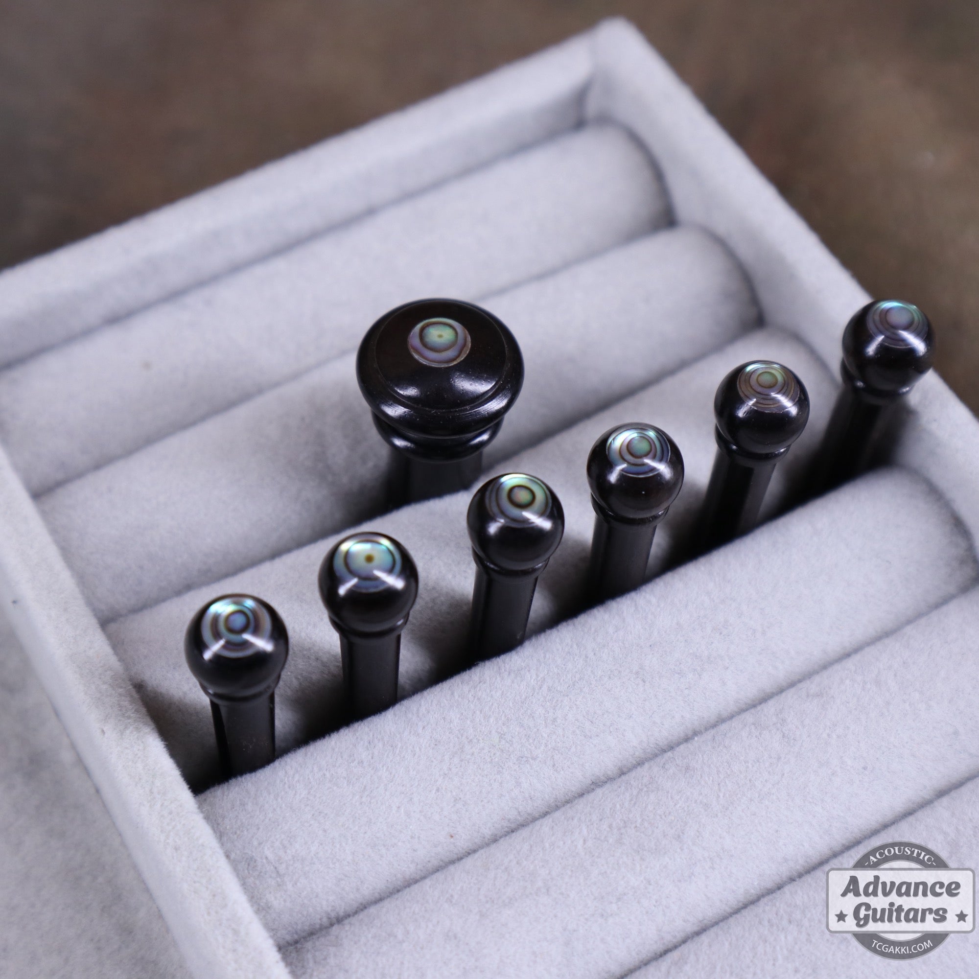 Preciso Domed Wood Bridge Pin & End Pin Set（Ebony & Abalone Dot） - TC楽器 - TCGAKKI